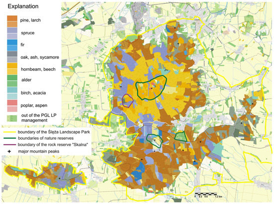 Forests 14 01386 g003