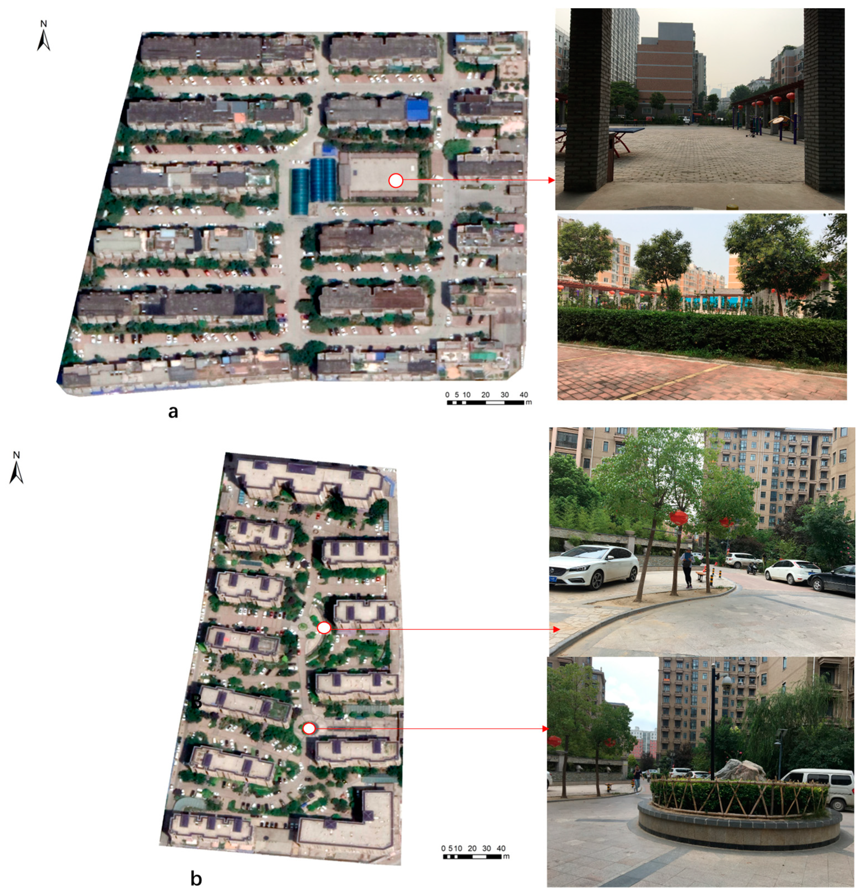 Forests 14 01401 g003 Forests 14 01401 g003