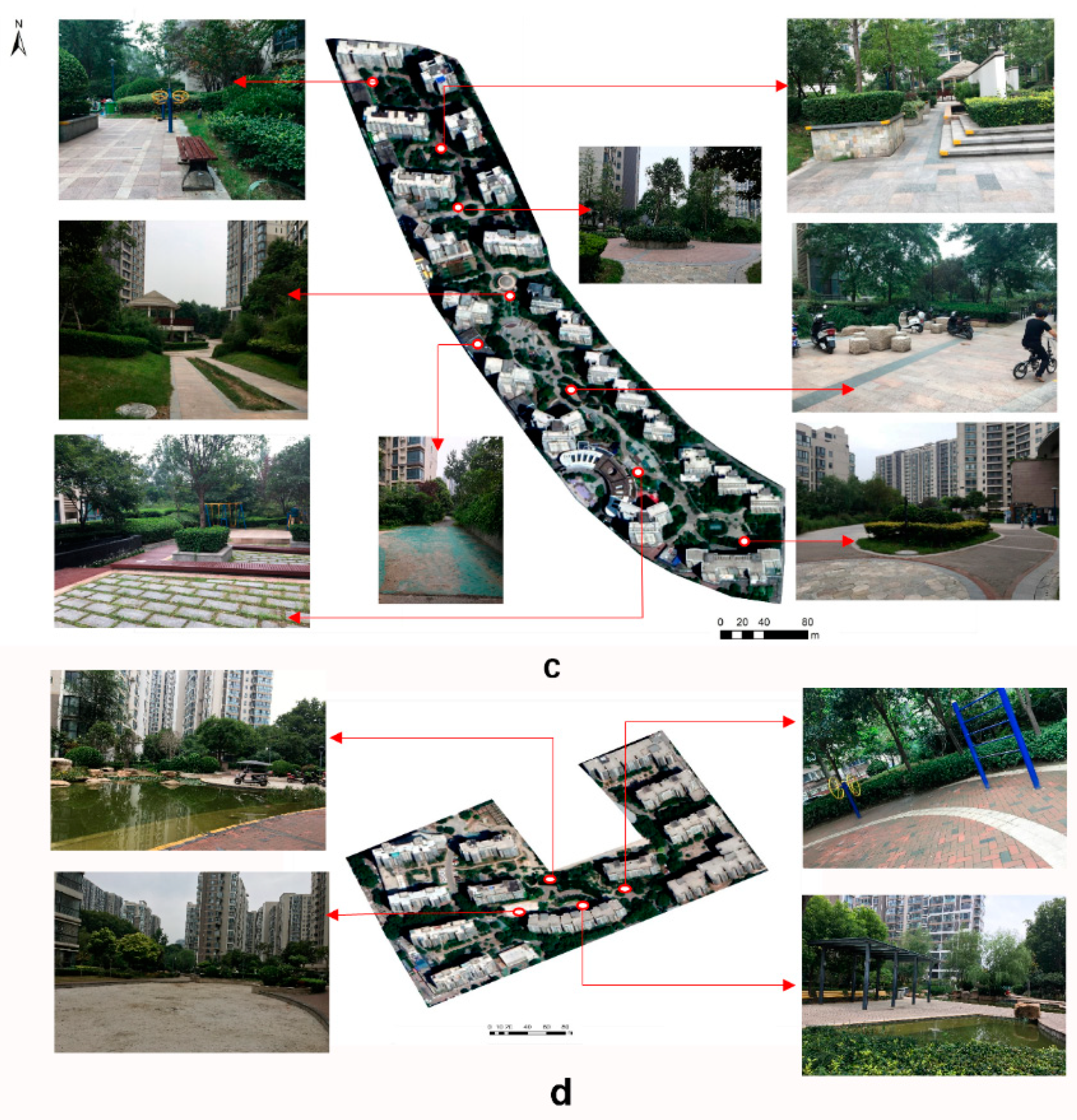 Forests 14 01401 g004 Forests 14 01401 g004