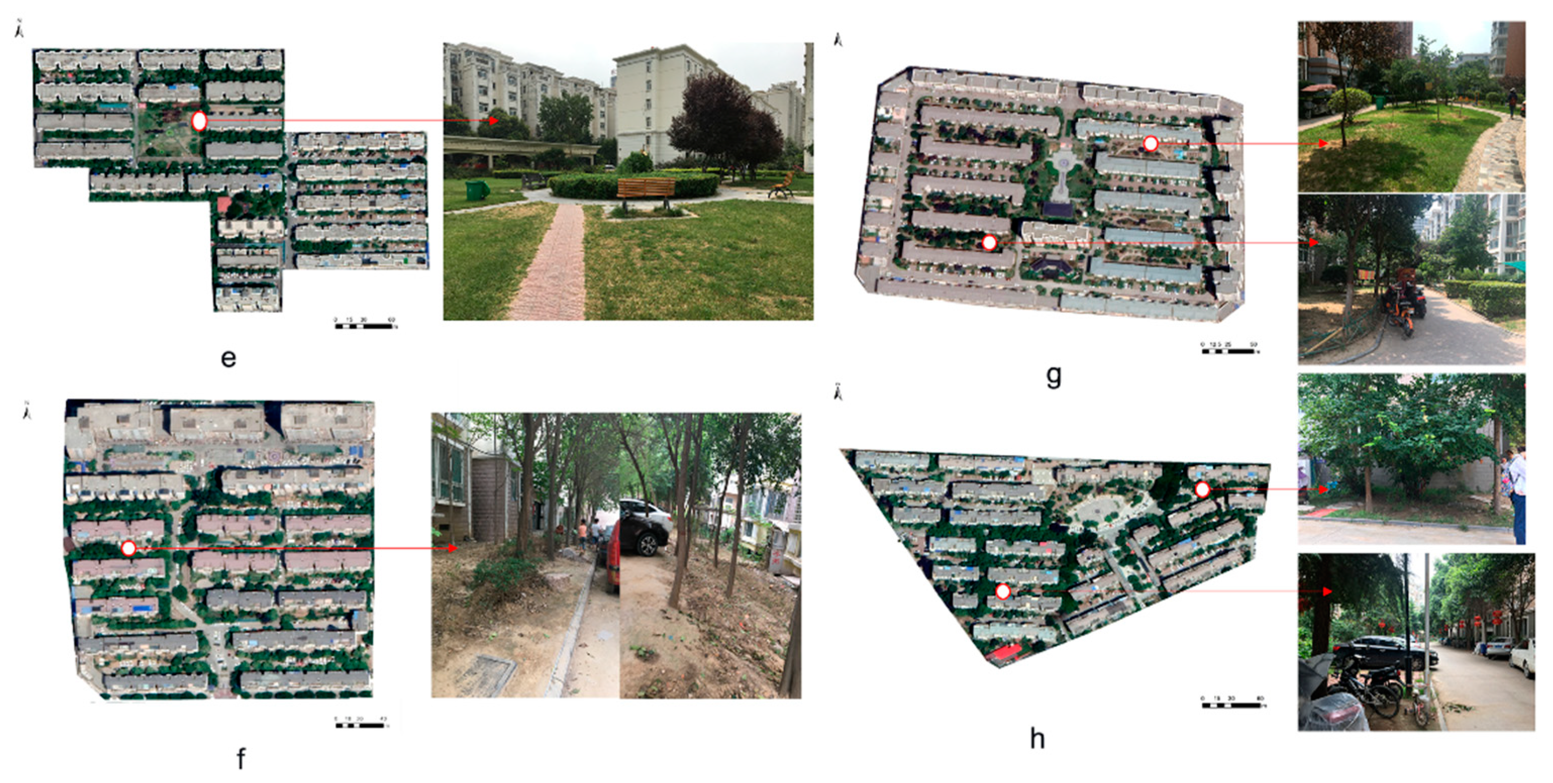 Forests 14 01401 g006 Forests 14 01401 g006