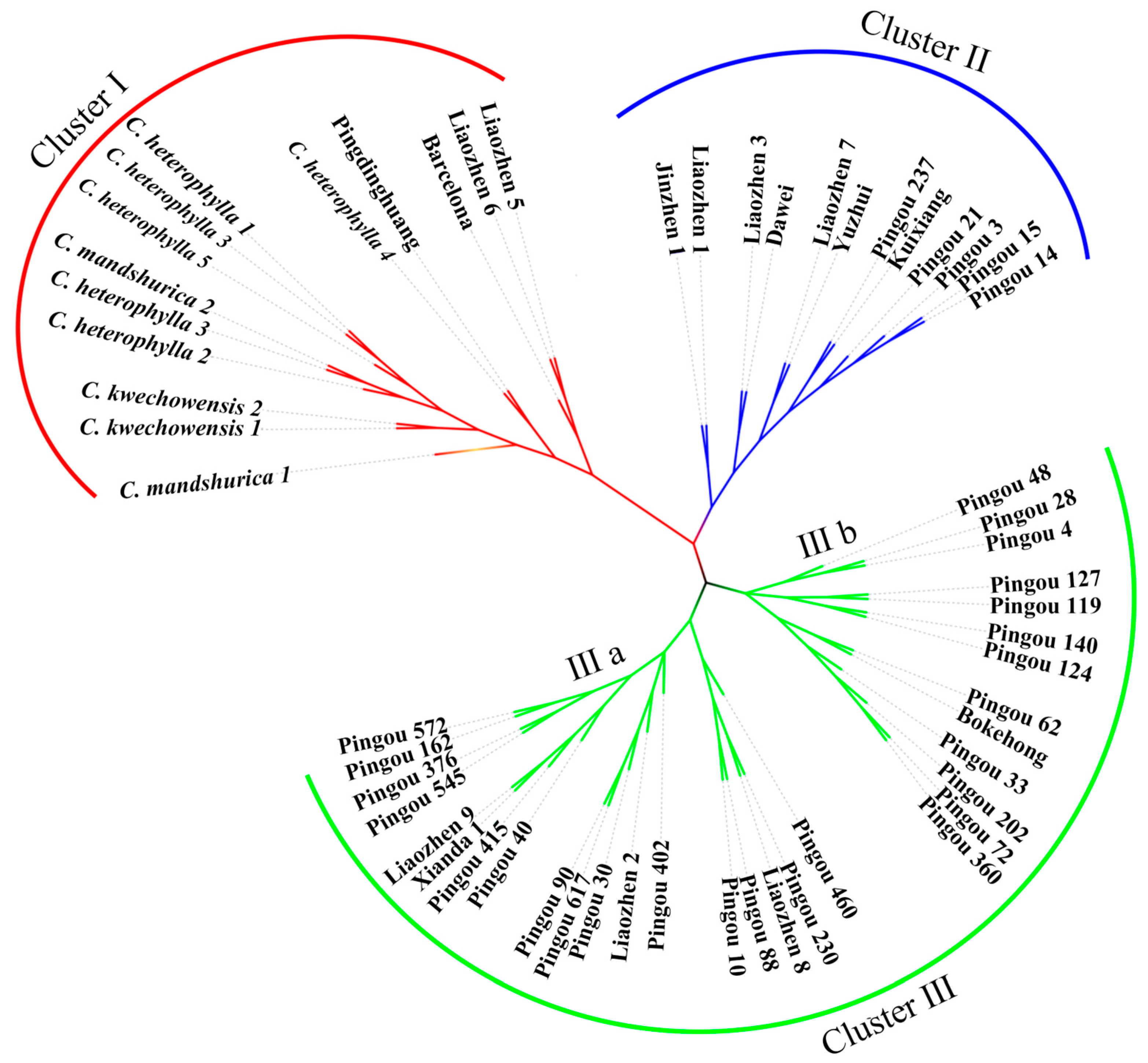 Forests 14 01405 g001 Forests 14 01405 g001