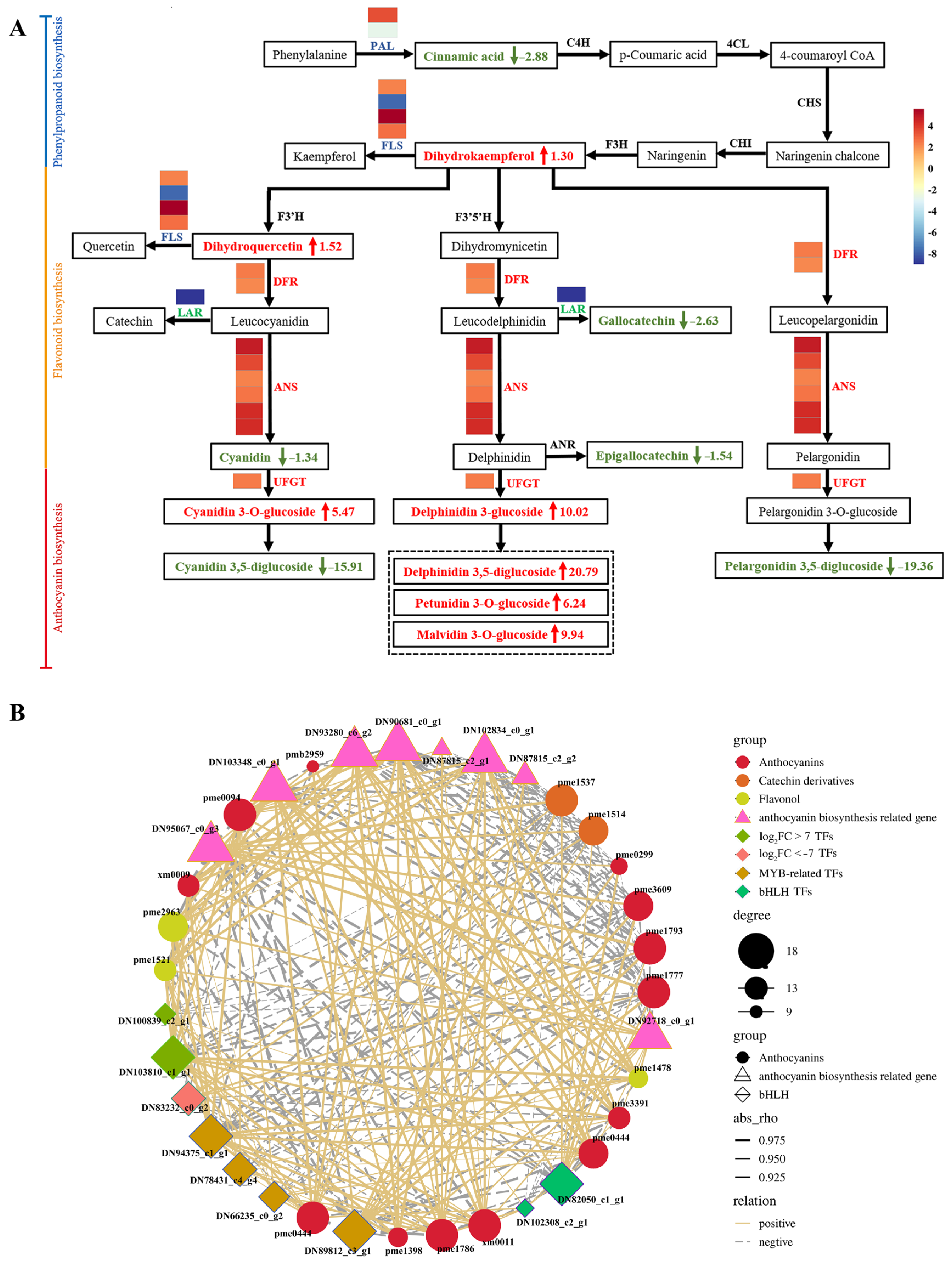 Forests 14 01413 g007