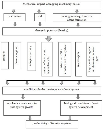 Forests 14 01424 g005