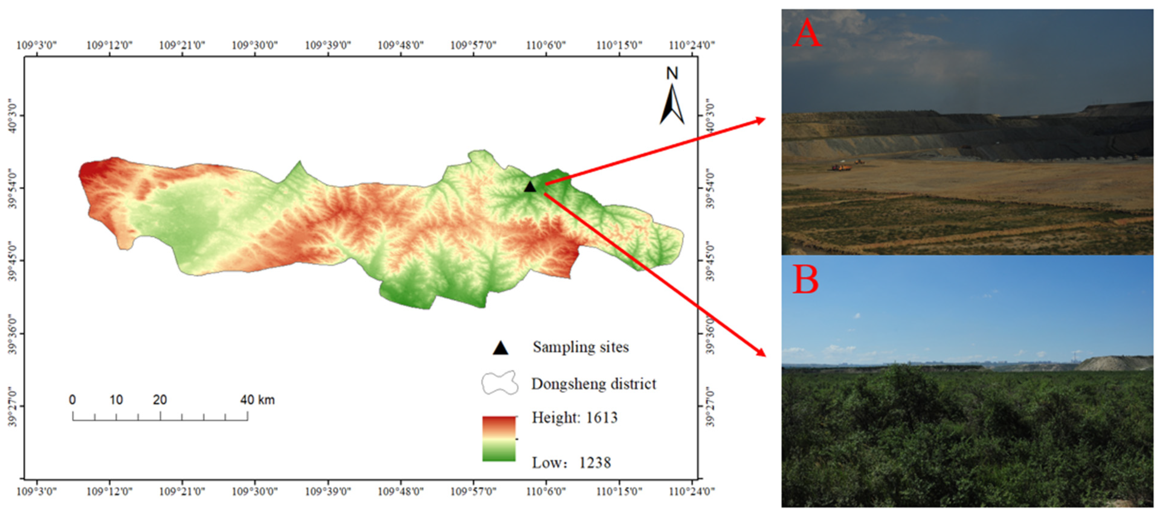 Forests 14 01425 g001 Forests 14 01425 g001