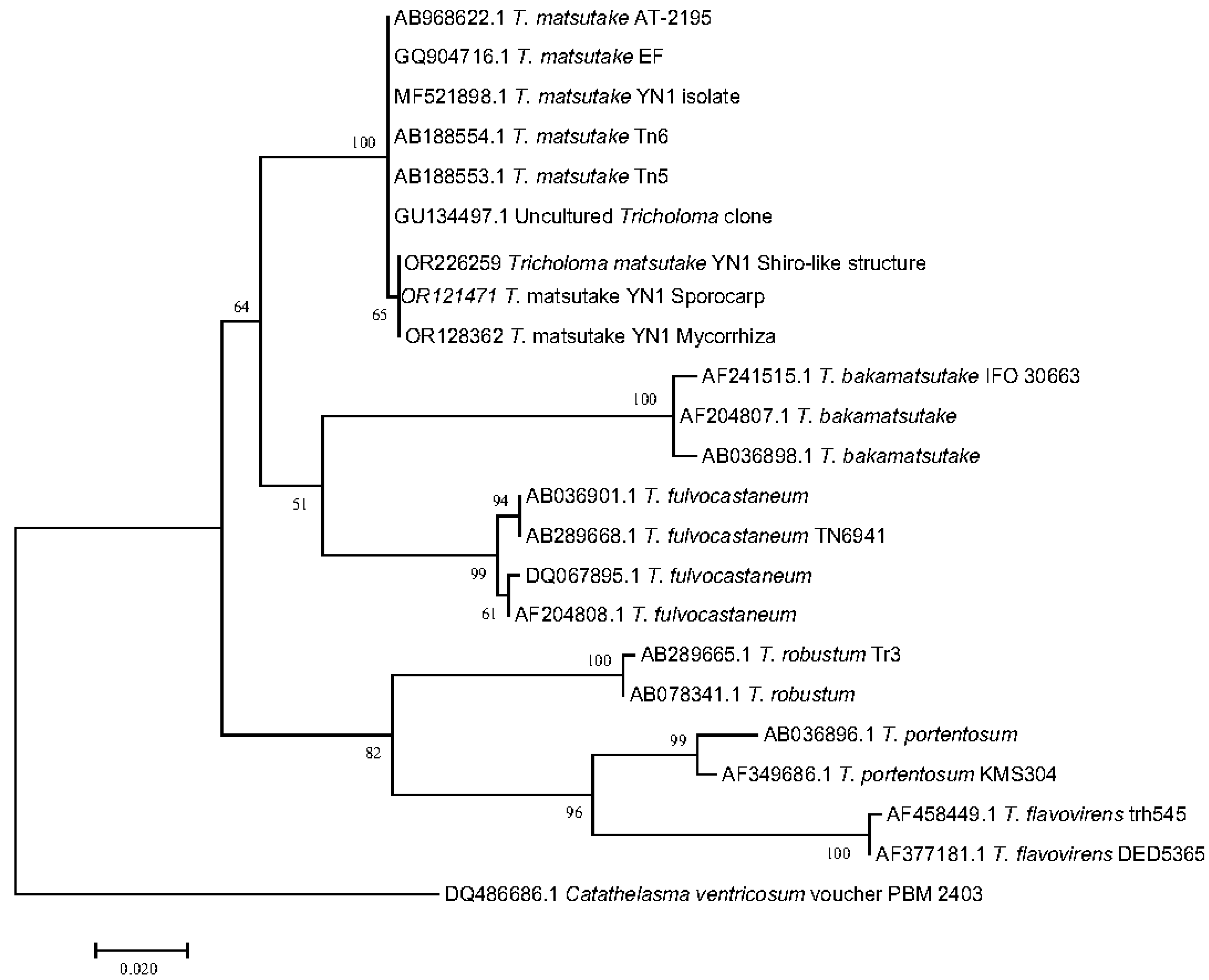 Forests 14 01439 g004