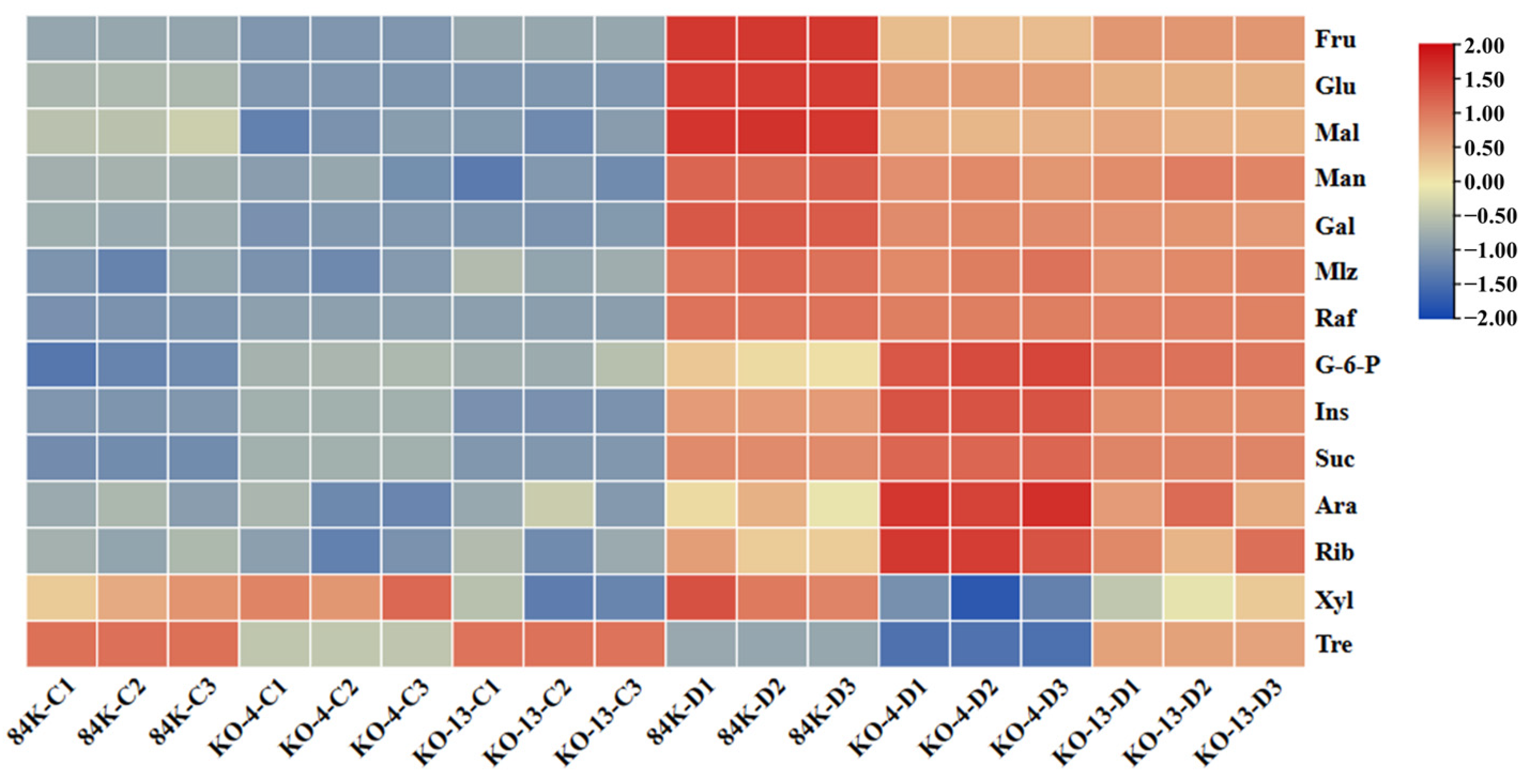 Forests 14 01445 g007