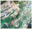 Forests 14 01449 i001
