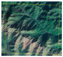 Forests 14 01449 i004