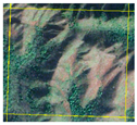 Forests 14 01449 i005