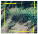 Forests 14 01449 i006
