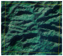 Forests 14 01449 i007