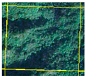 Forests 14 01449 i009