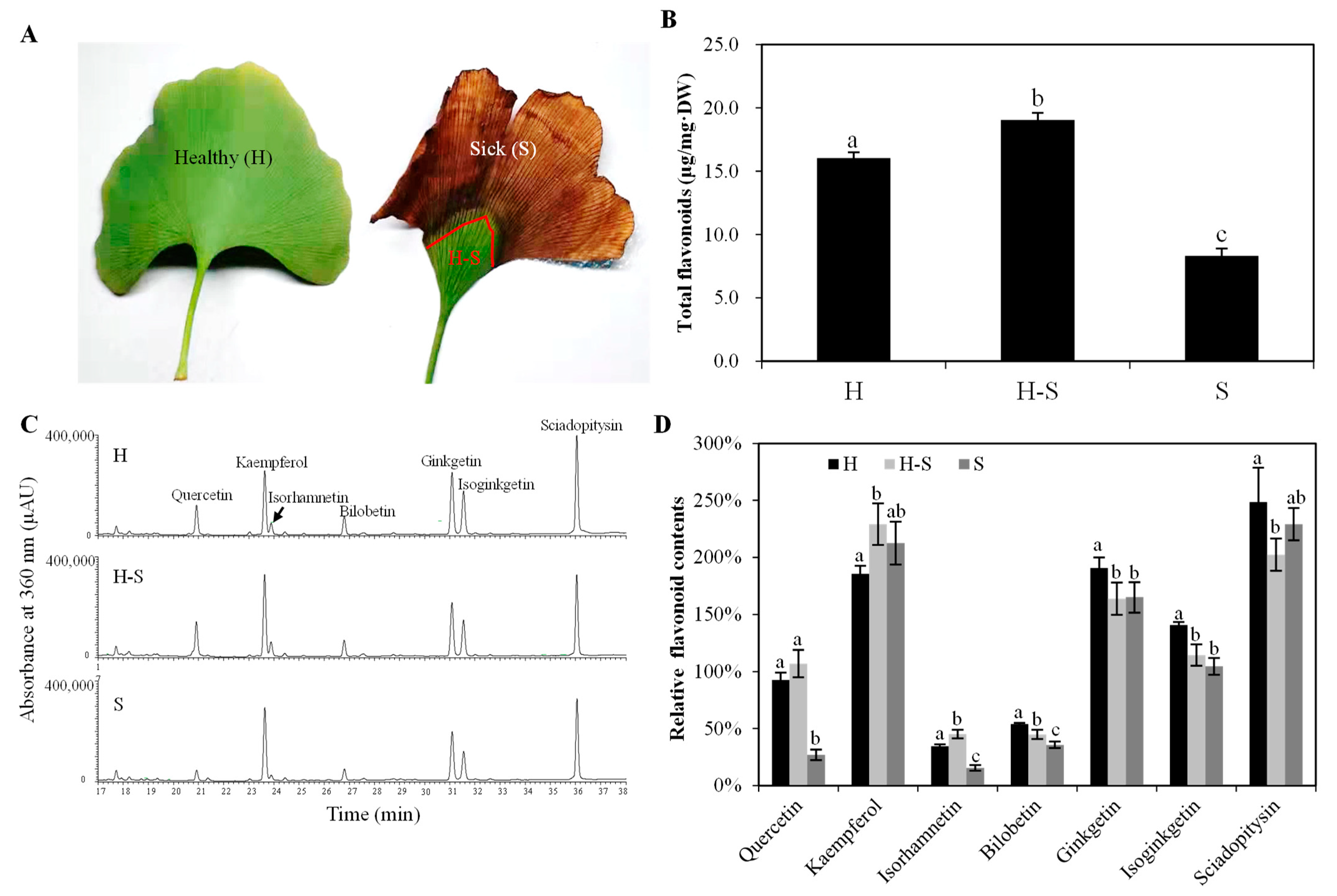 Forests 14 01452 g001