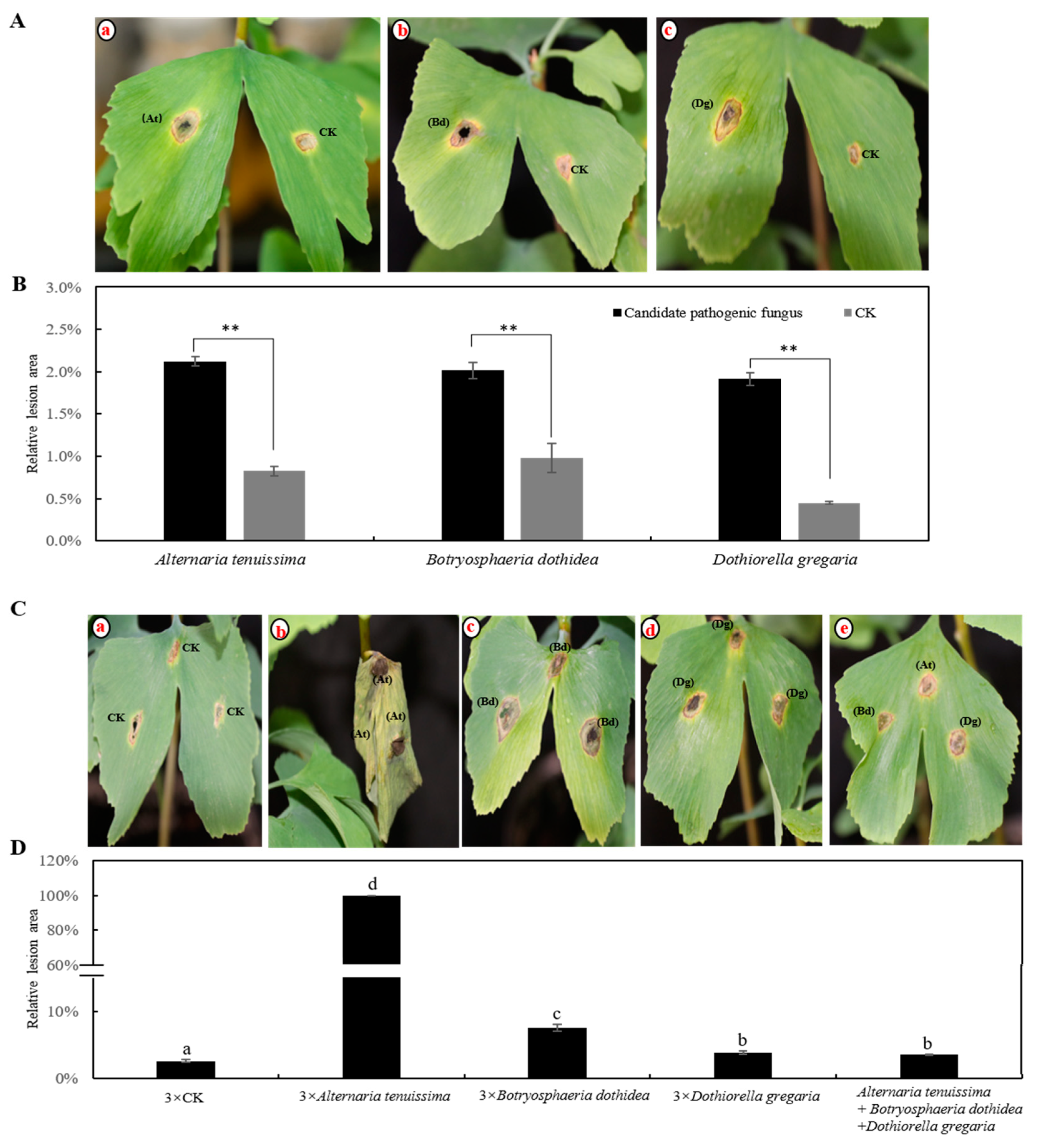 Forests 14 01452 g003