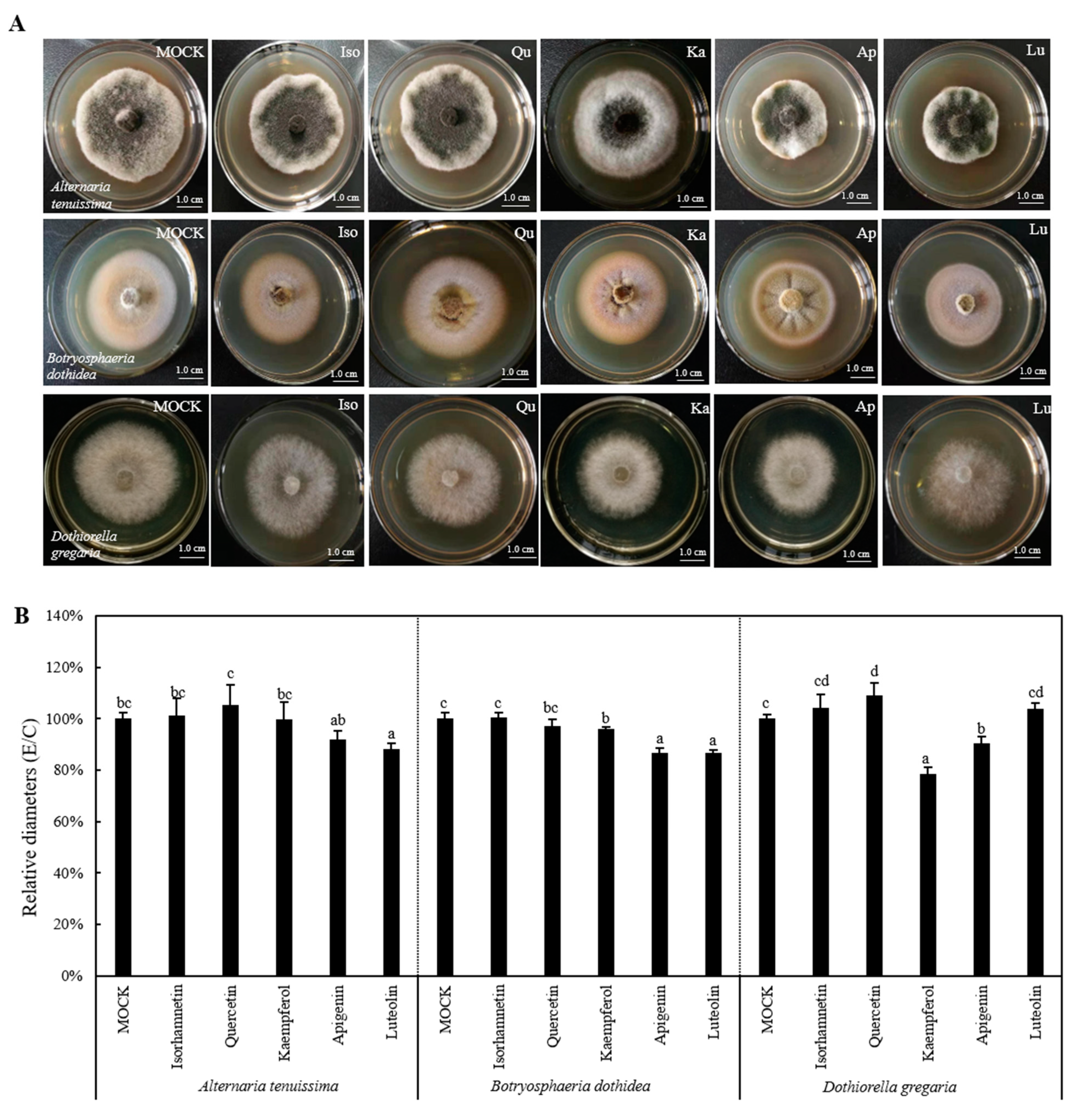 Forests 14 01452 g004