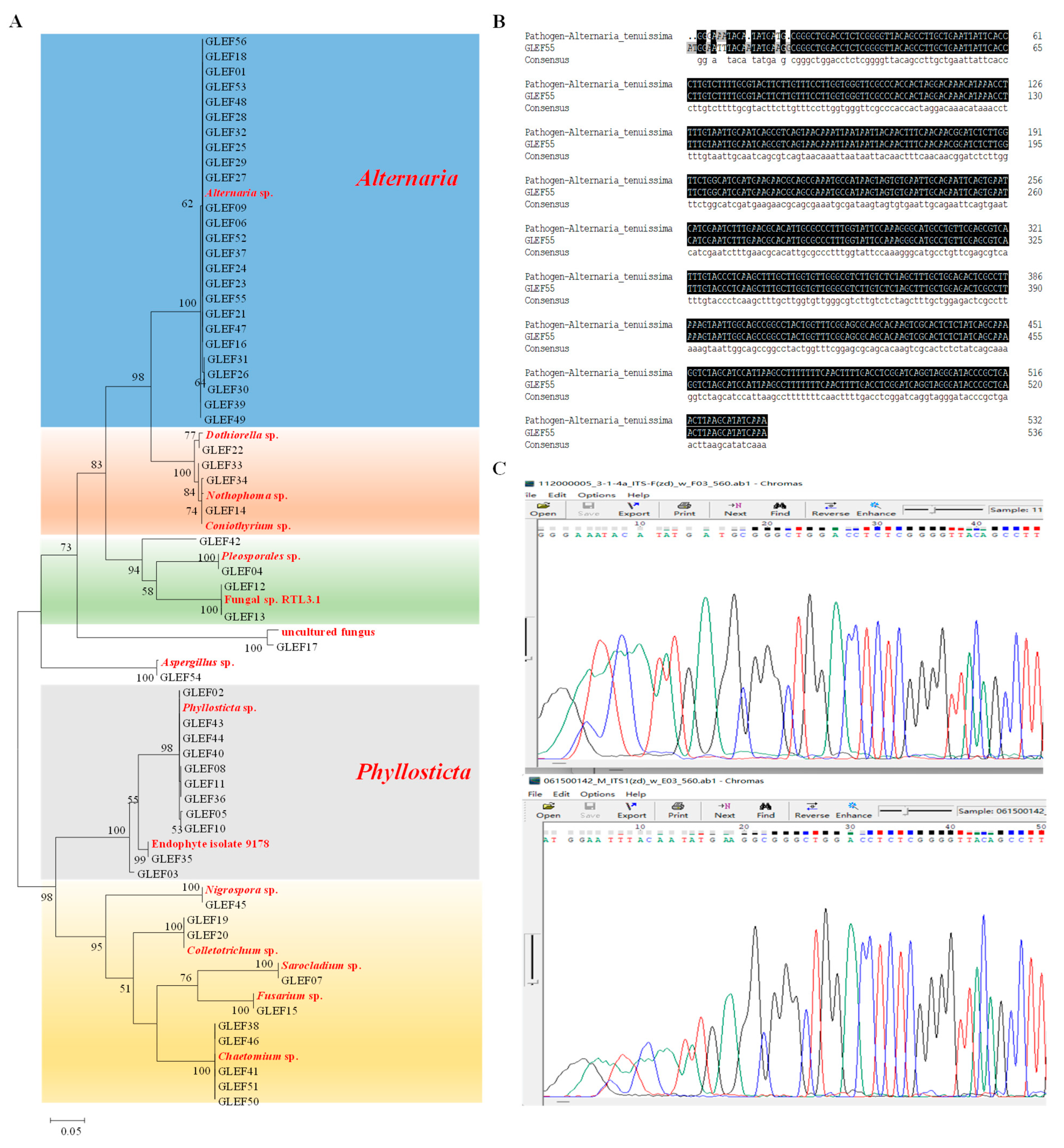 Forests 14 01452 g005