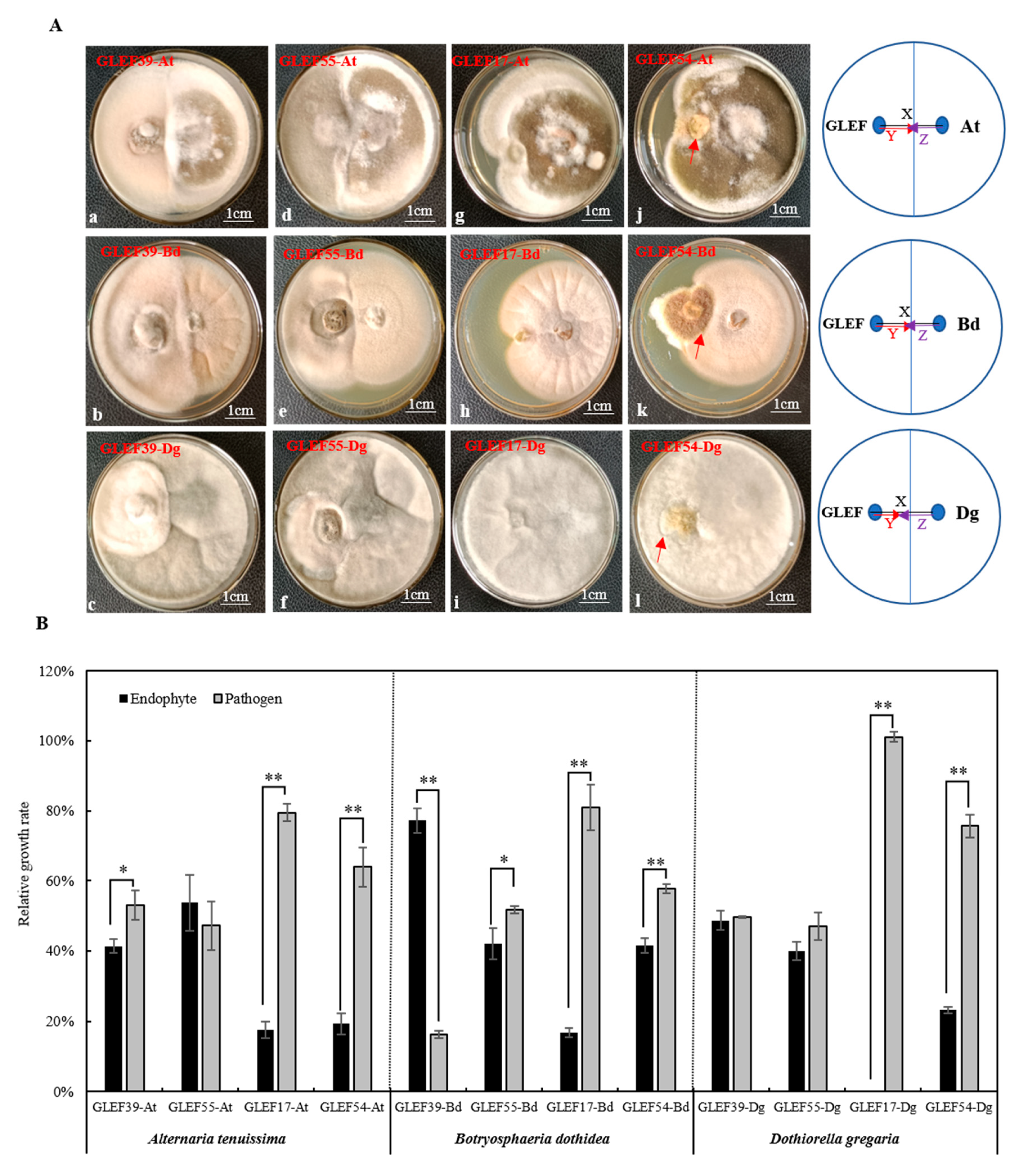Forests 14 01452 g007
