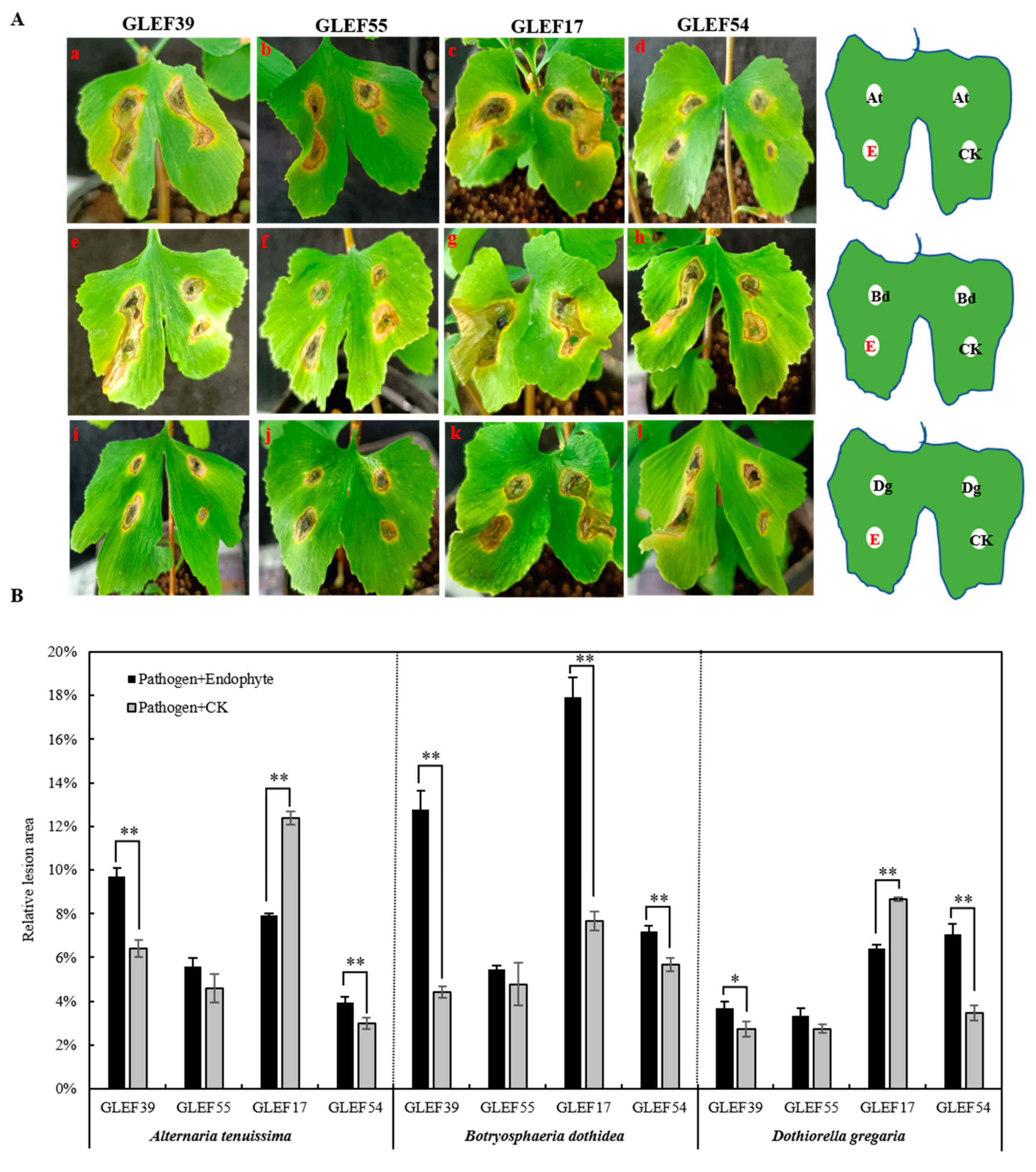 Forests 14 01452 g008