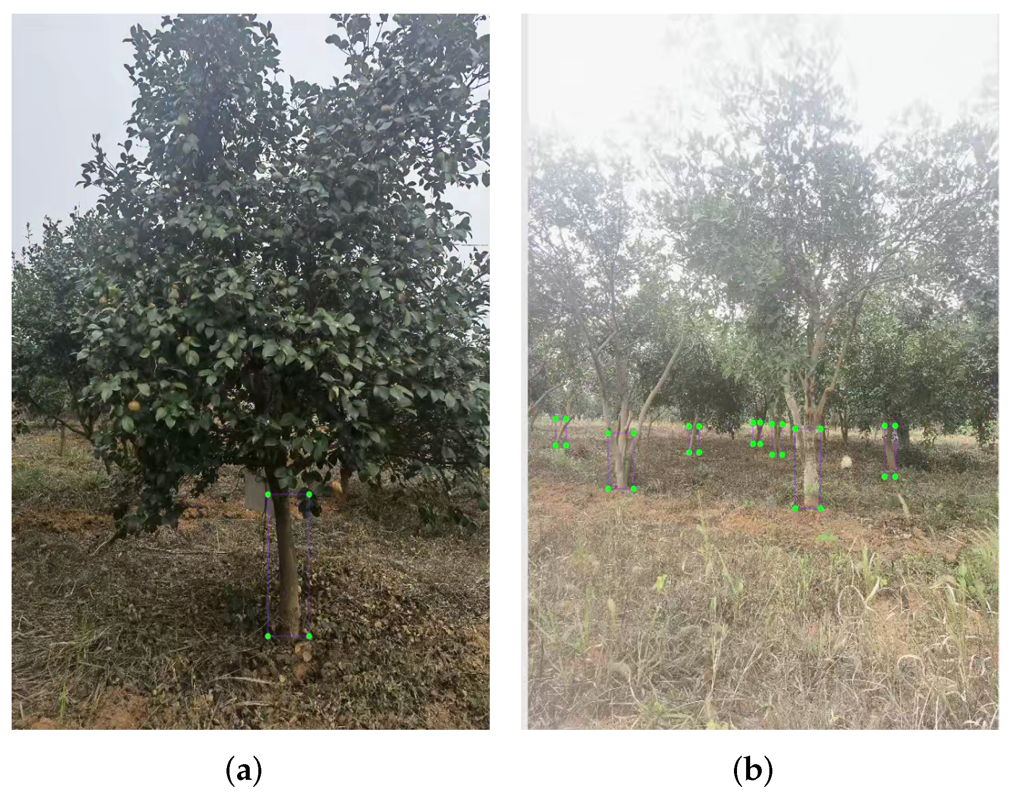 Forests 14 01453 g003 Forests 14 01453 g003