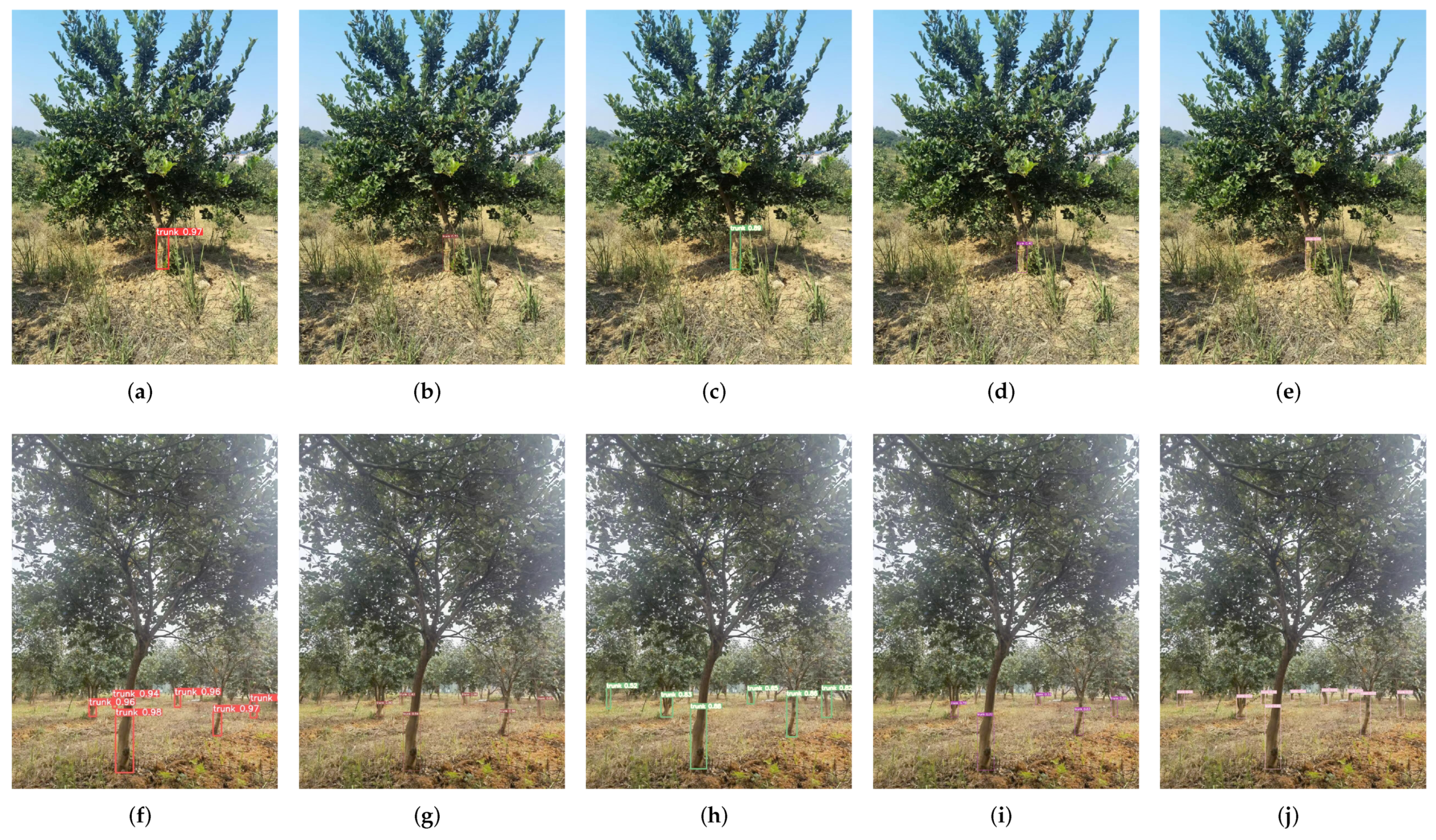 Forests 14 01453 g012 Forests 14 01453 g012