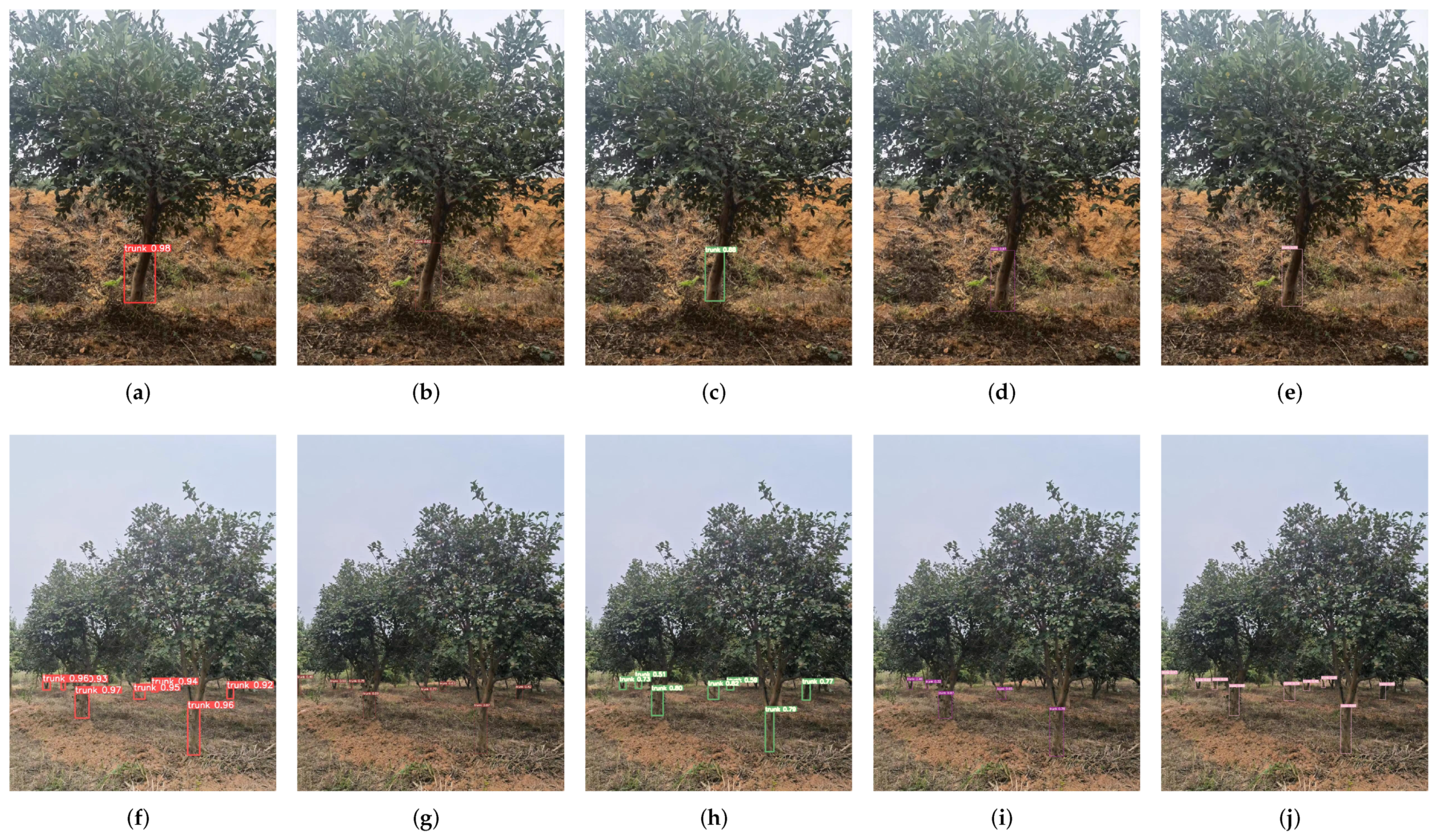 Forests 14 01453 g013 Forests 14 01453 g013