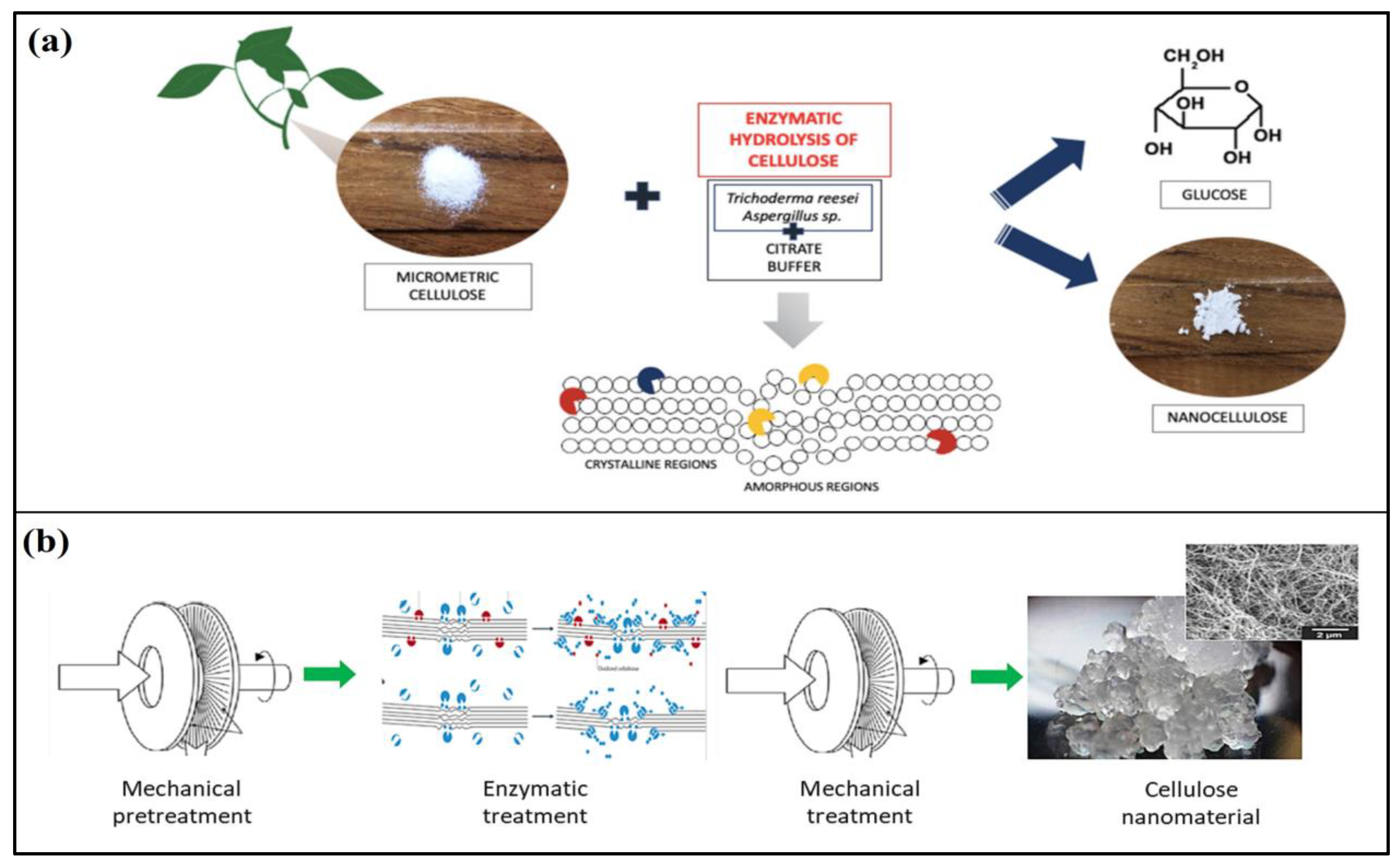 Forests 14 01457 g006