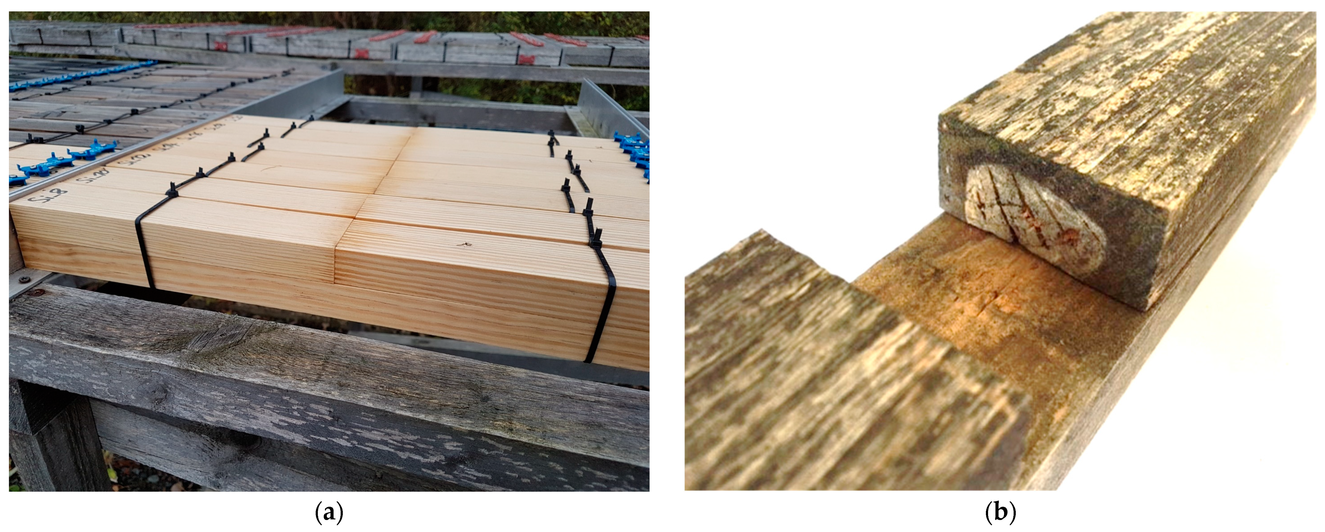 Forests 14 01460 g007