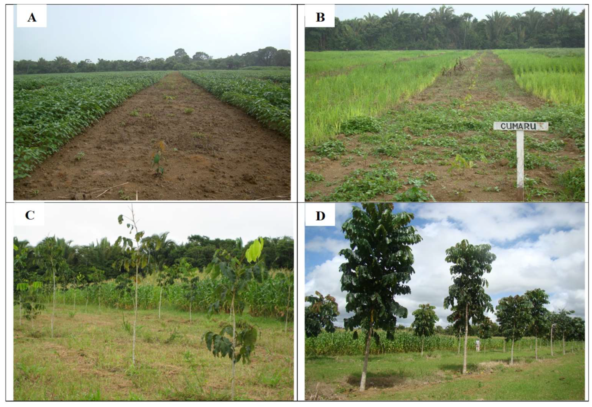 Forests 14 01463 g002 Forests 14 01463 g002