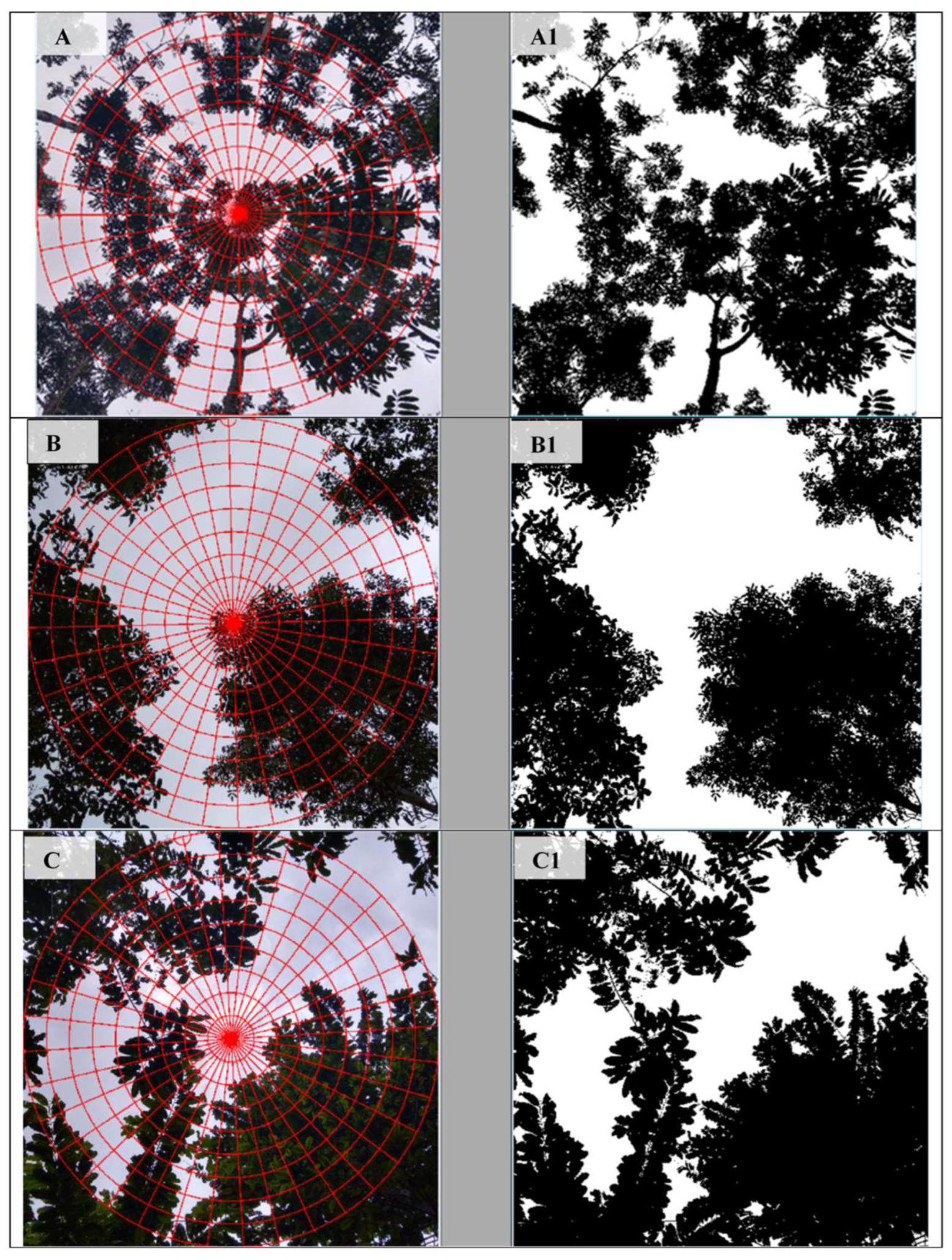 Forests 14 01463 g004 Forests 14 01463 g004