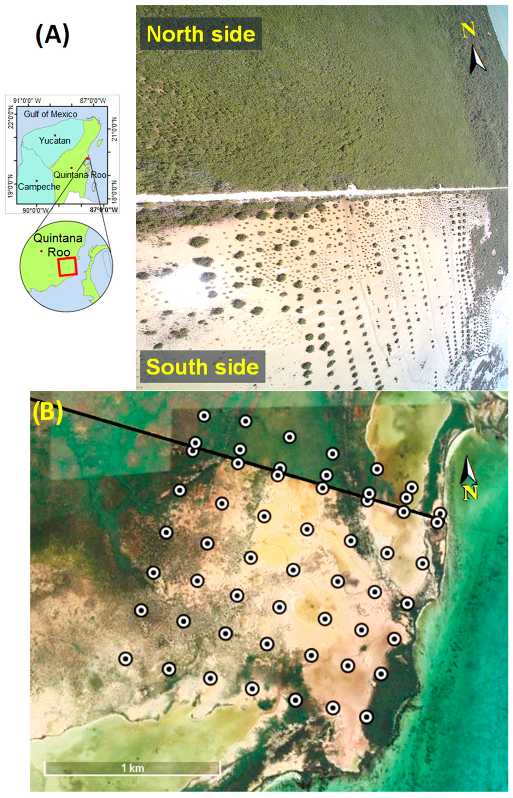 Forests 14 01469 g001 Forests 14 01469 g001
