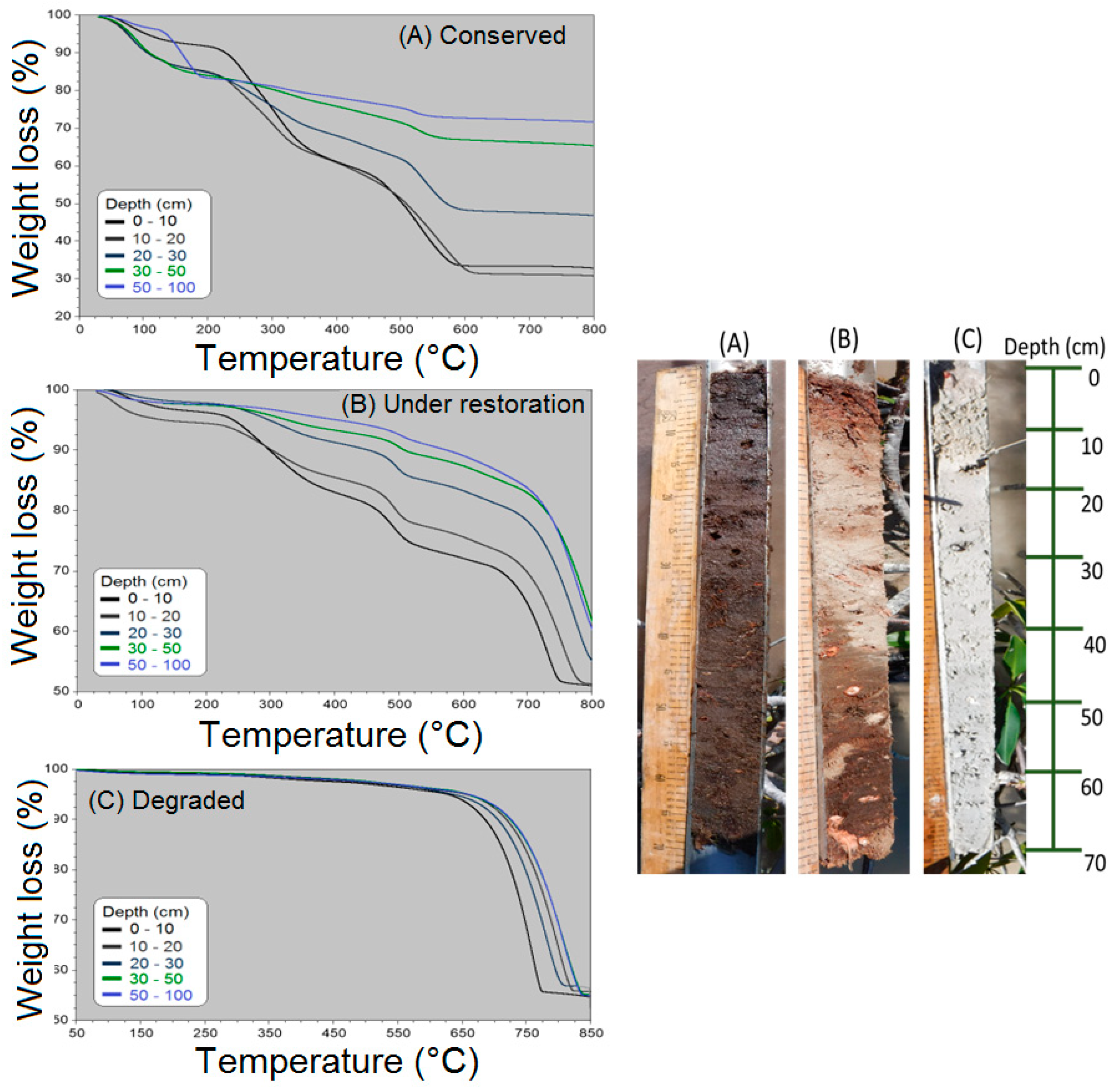 Forests 14 01469 g004 Forests 14 01469 g004