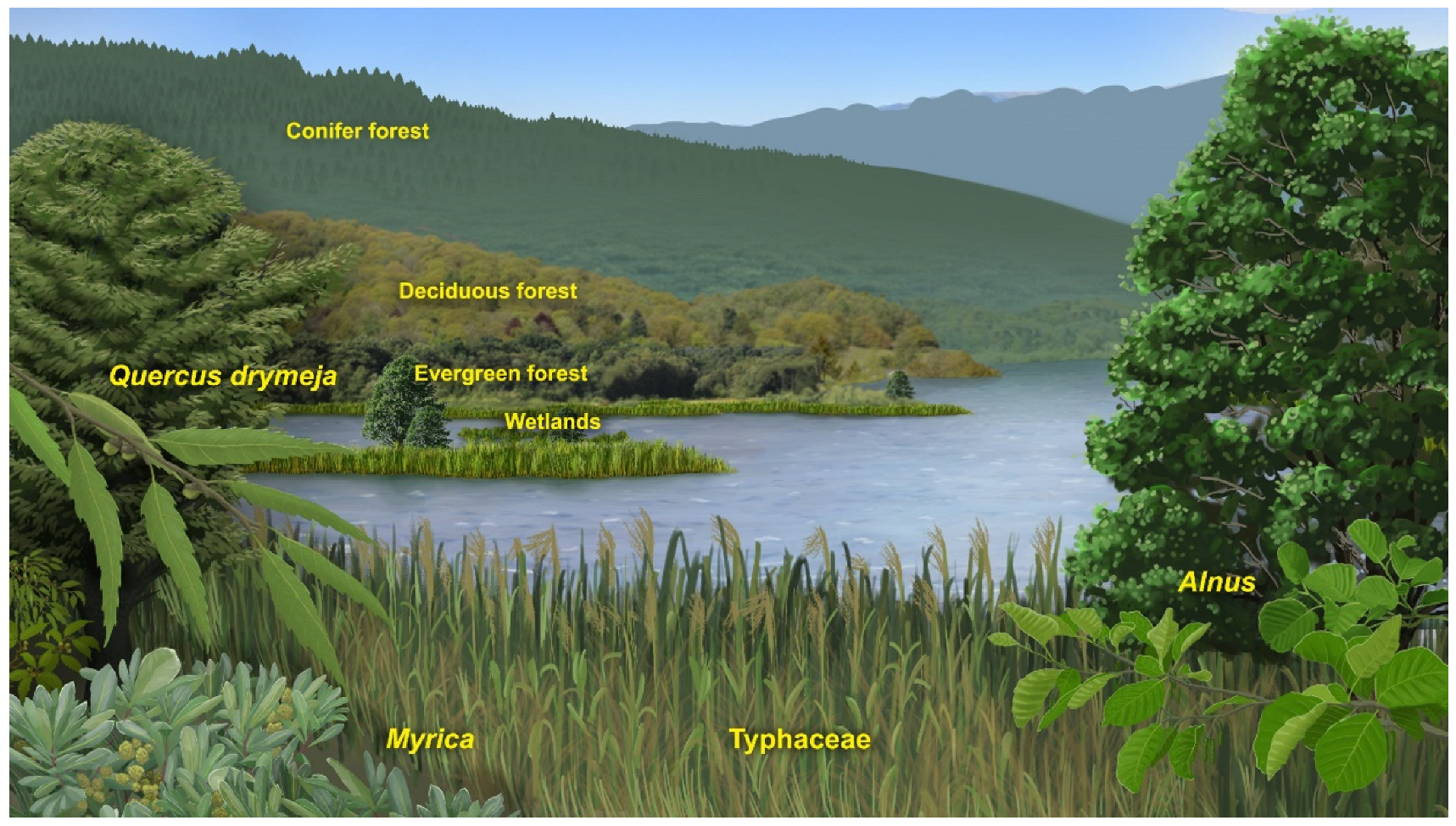 Forests 14 01471 g011