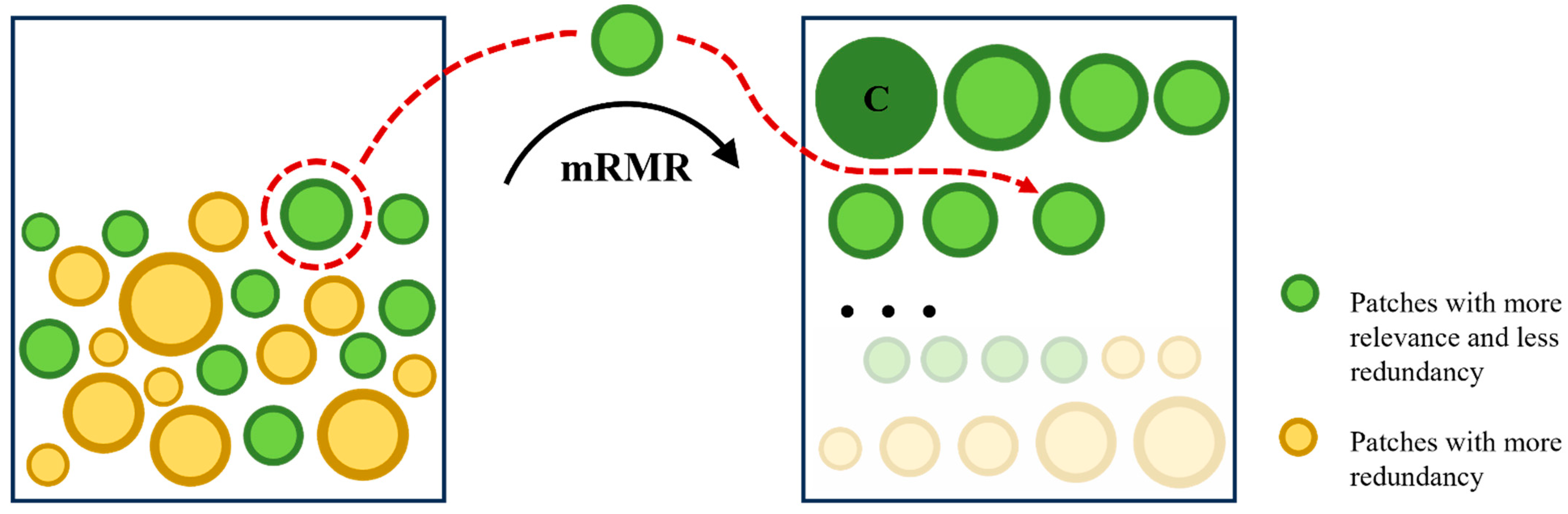 Forests 14 01477 g004 Forests 14 01477 g004