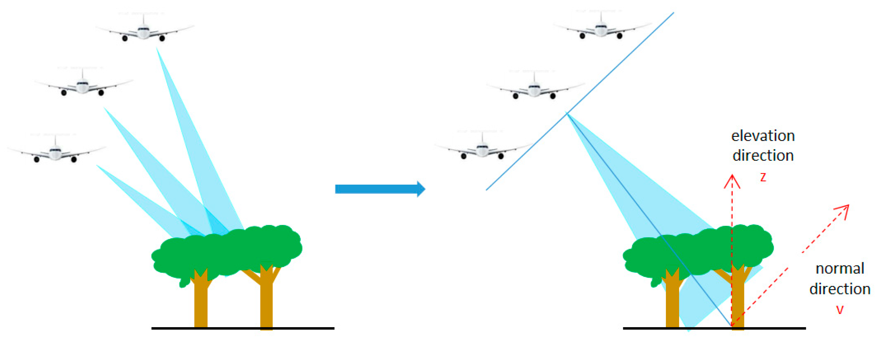 Forests 14 01479 g002