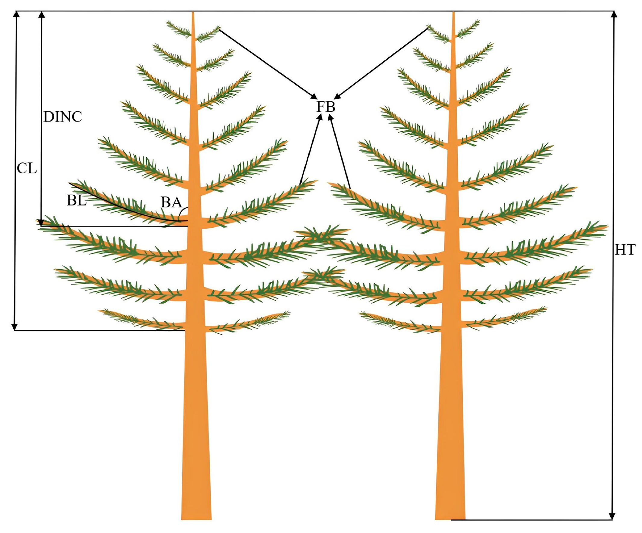 Forests 14 01495 g001