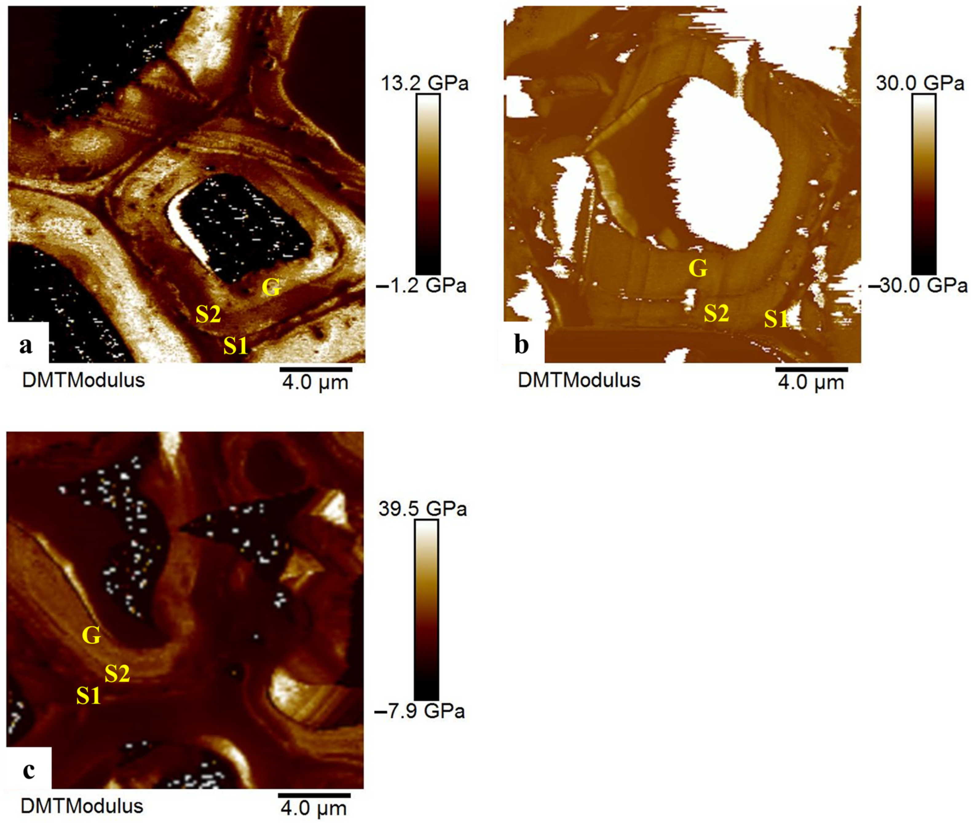 Forests 14 01505 g008