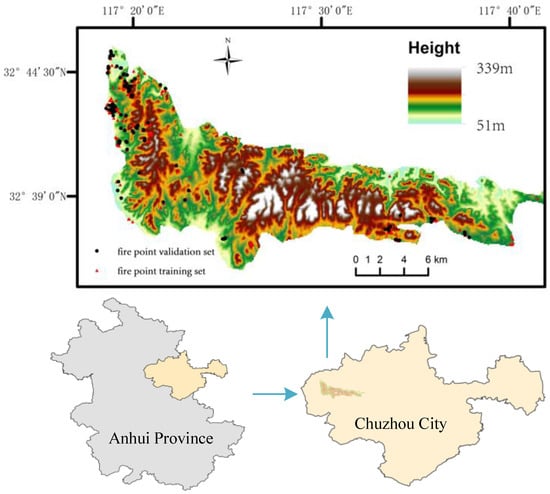 Forests 14 01506 g001