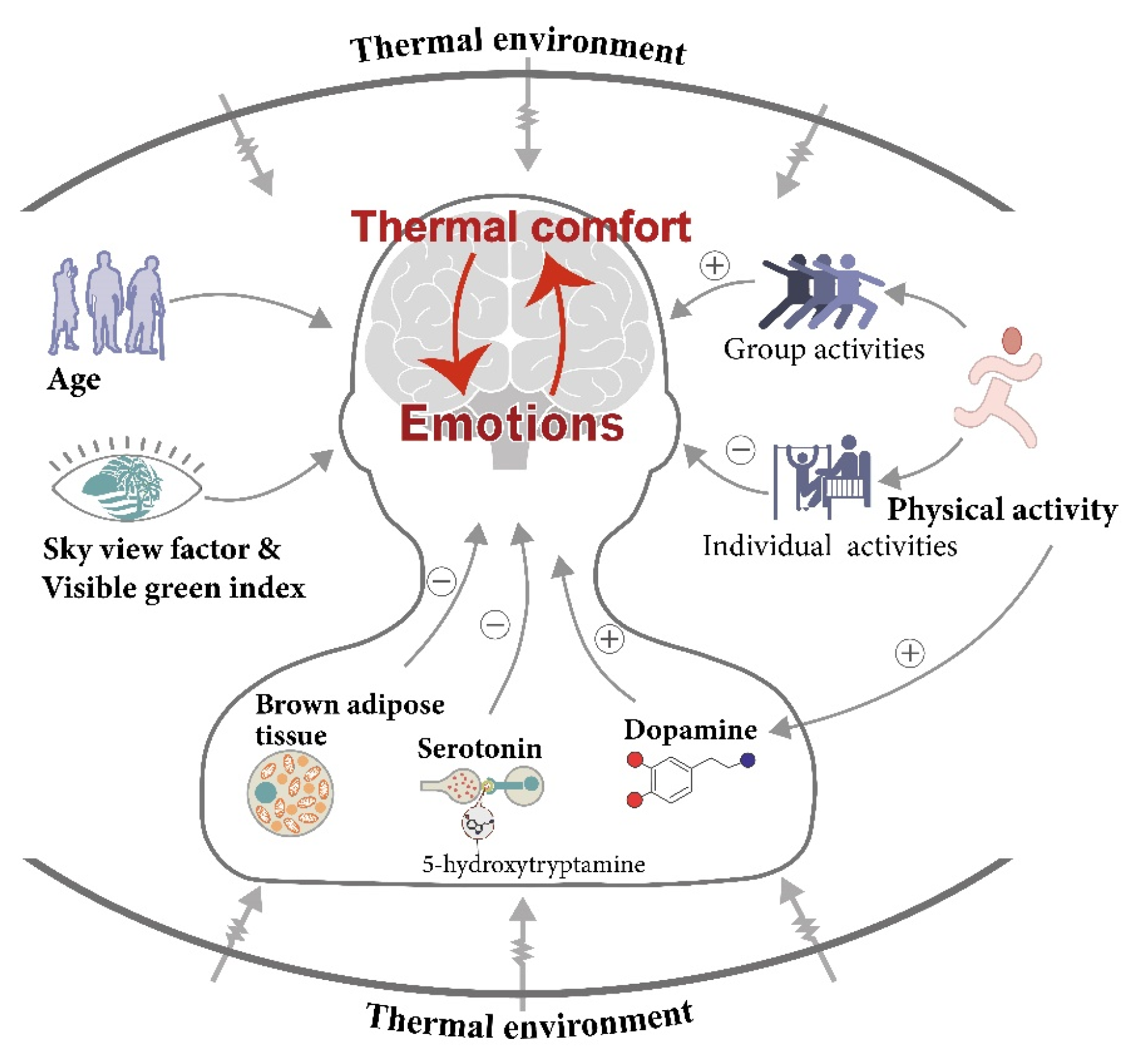 Forests 14 01512 g006