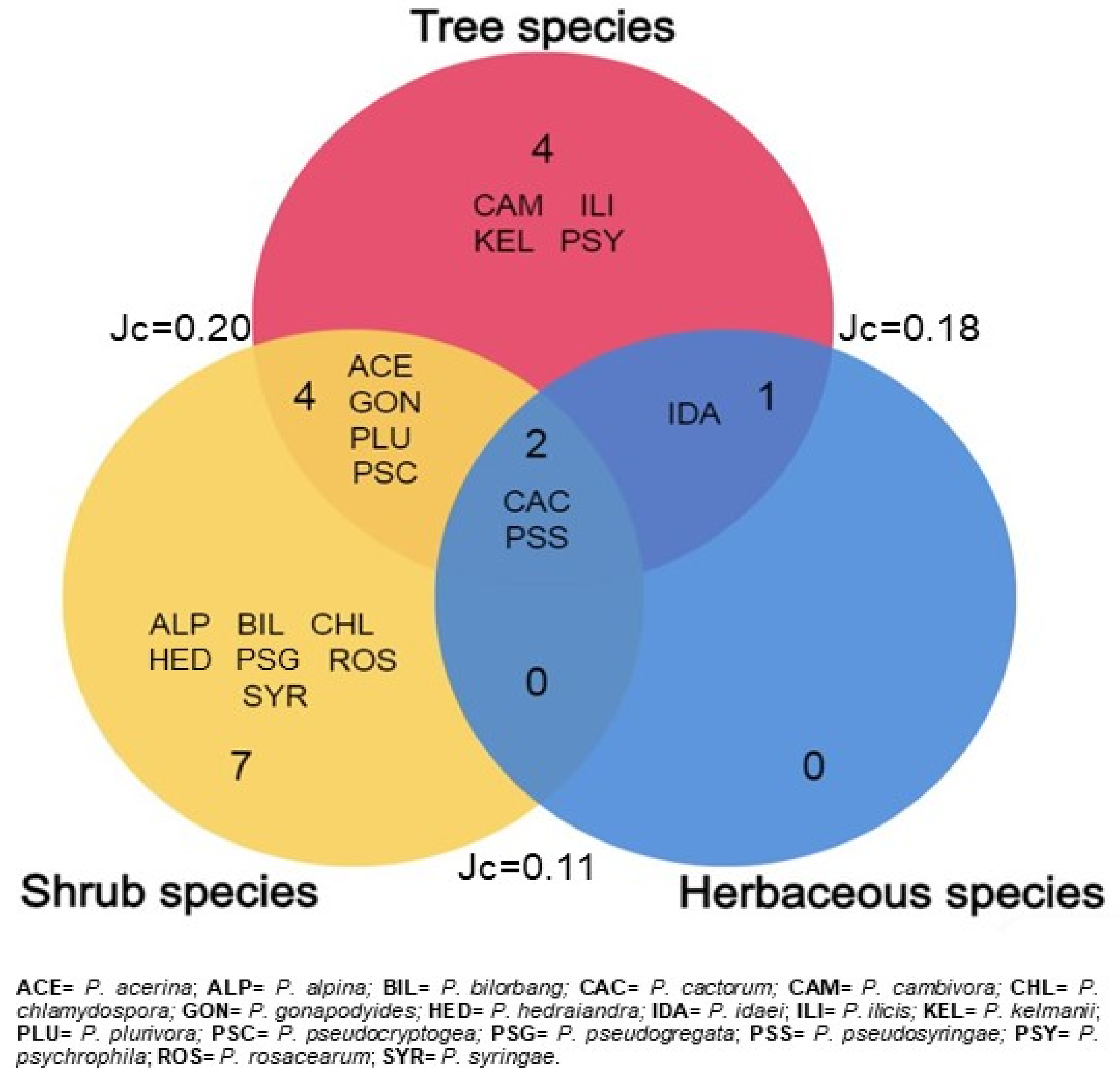 Forests 14 01515 g003