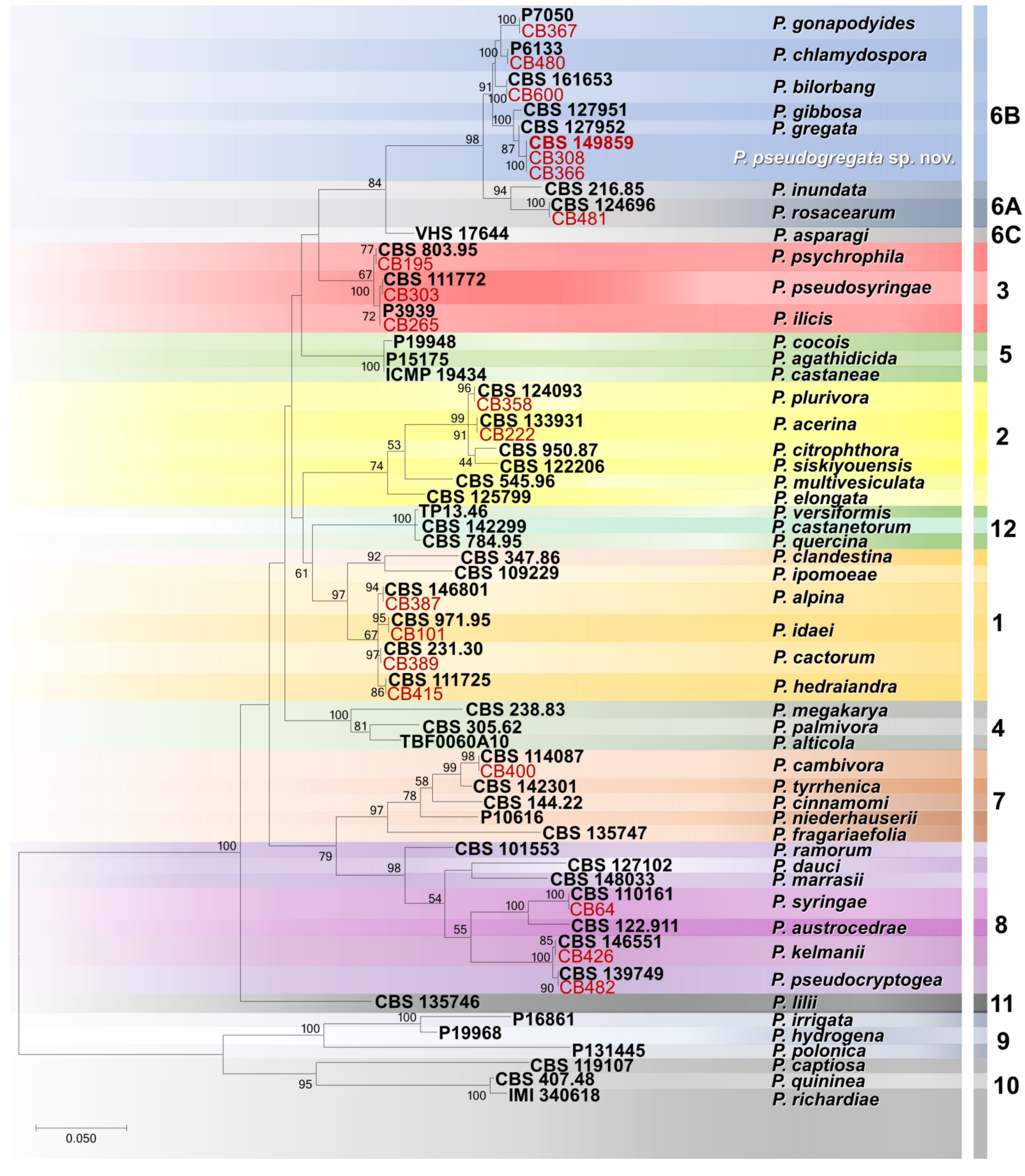 Forests 14 01515 g004