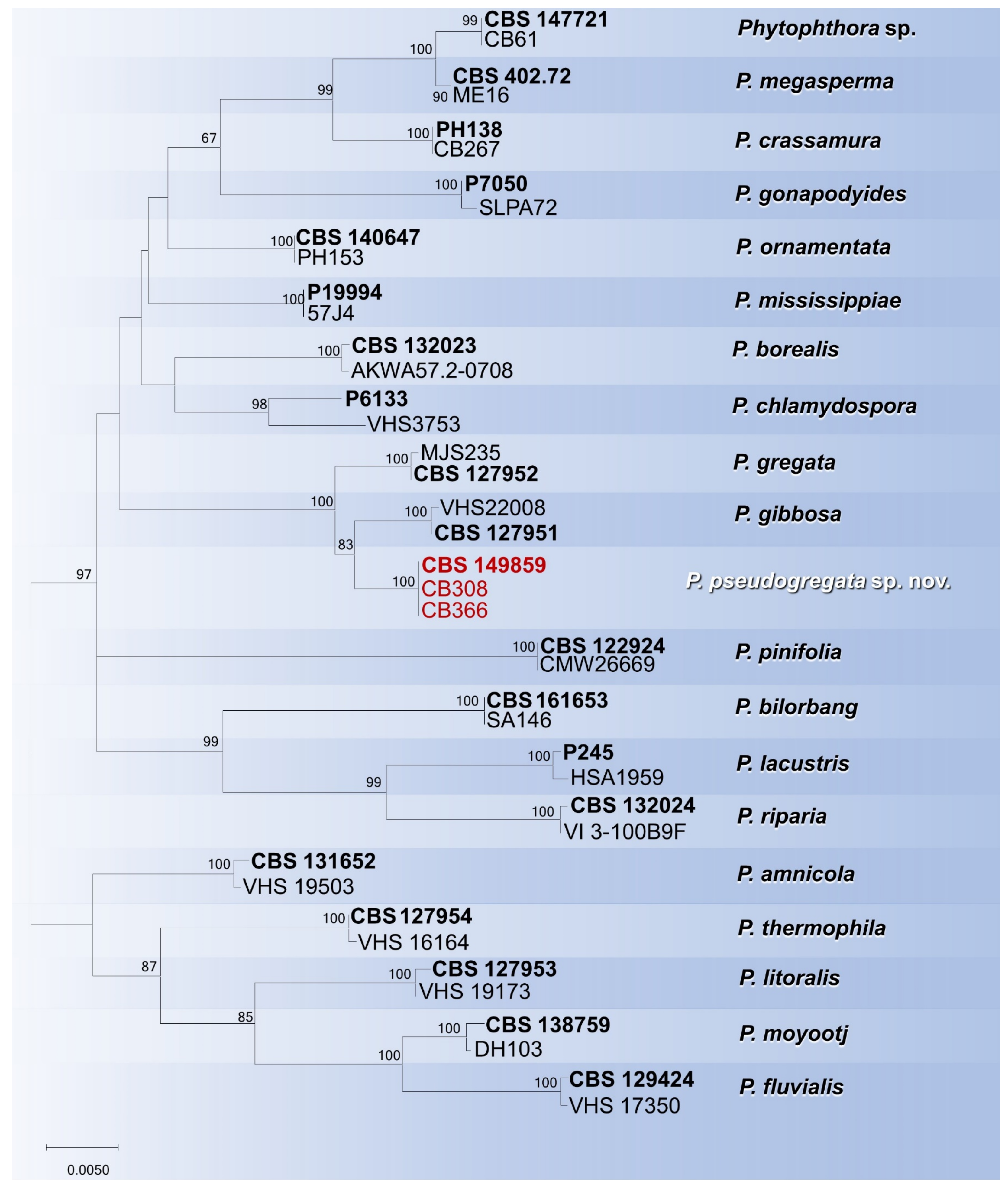 Forests 14 01515 g005