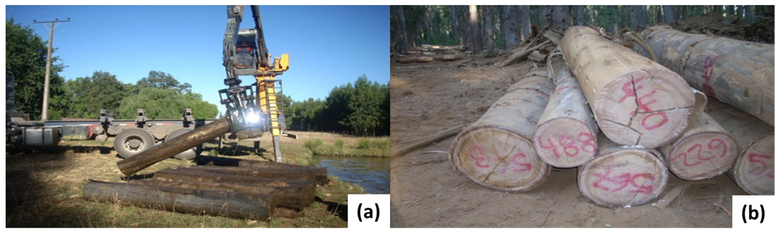 Forests 14 01517 g001