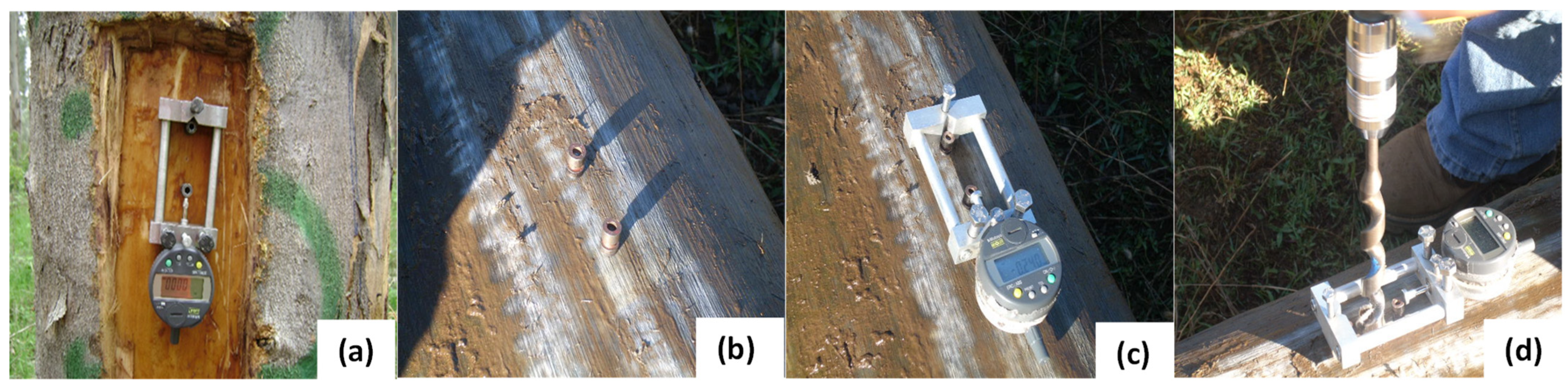 Forests 14 01517 g002