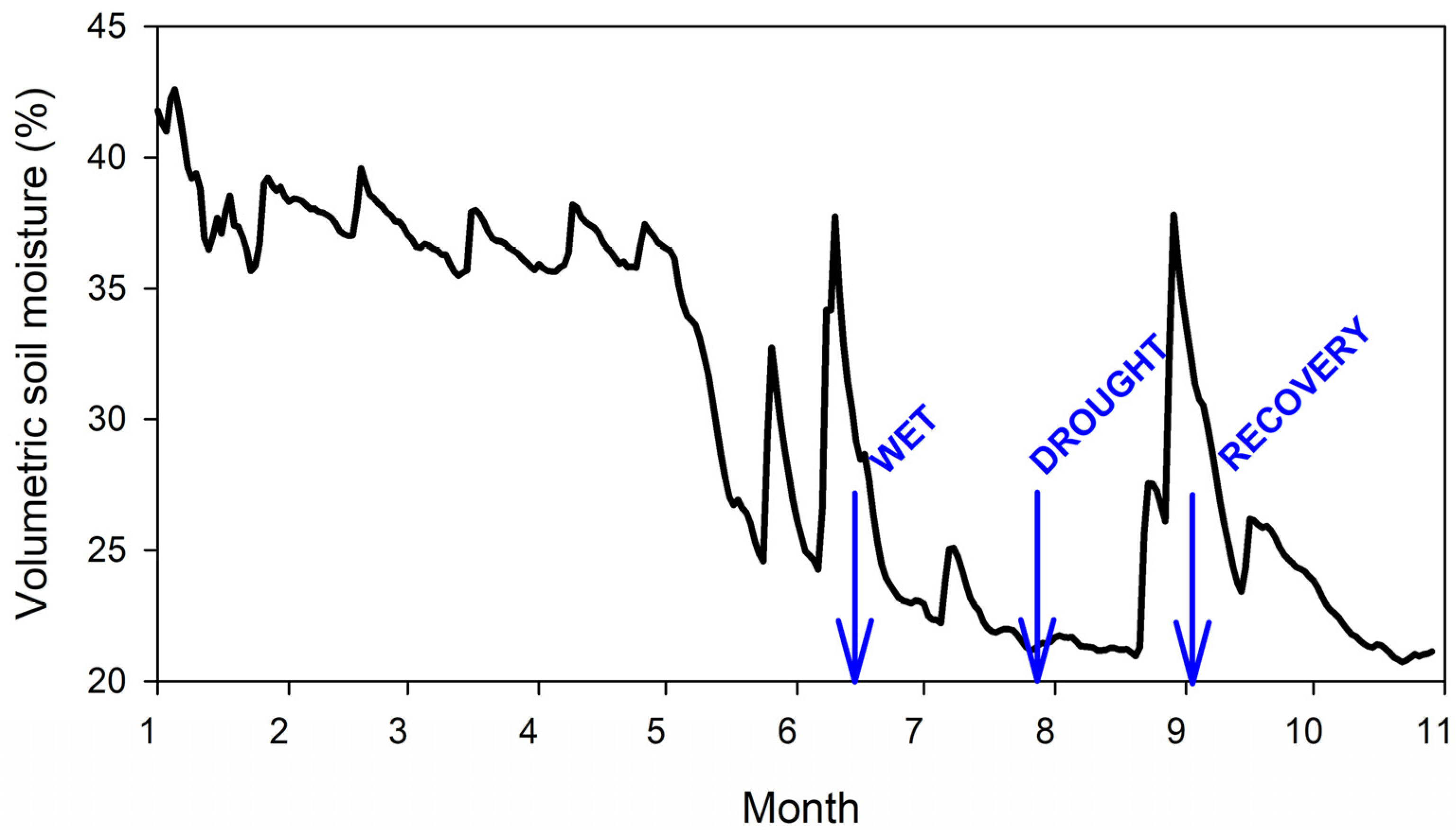 Forests 14 01521 g002