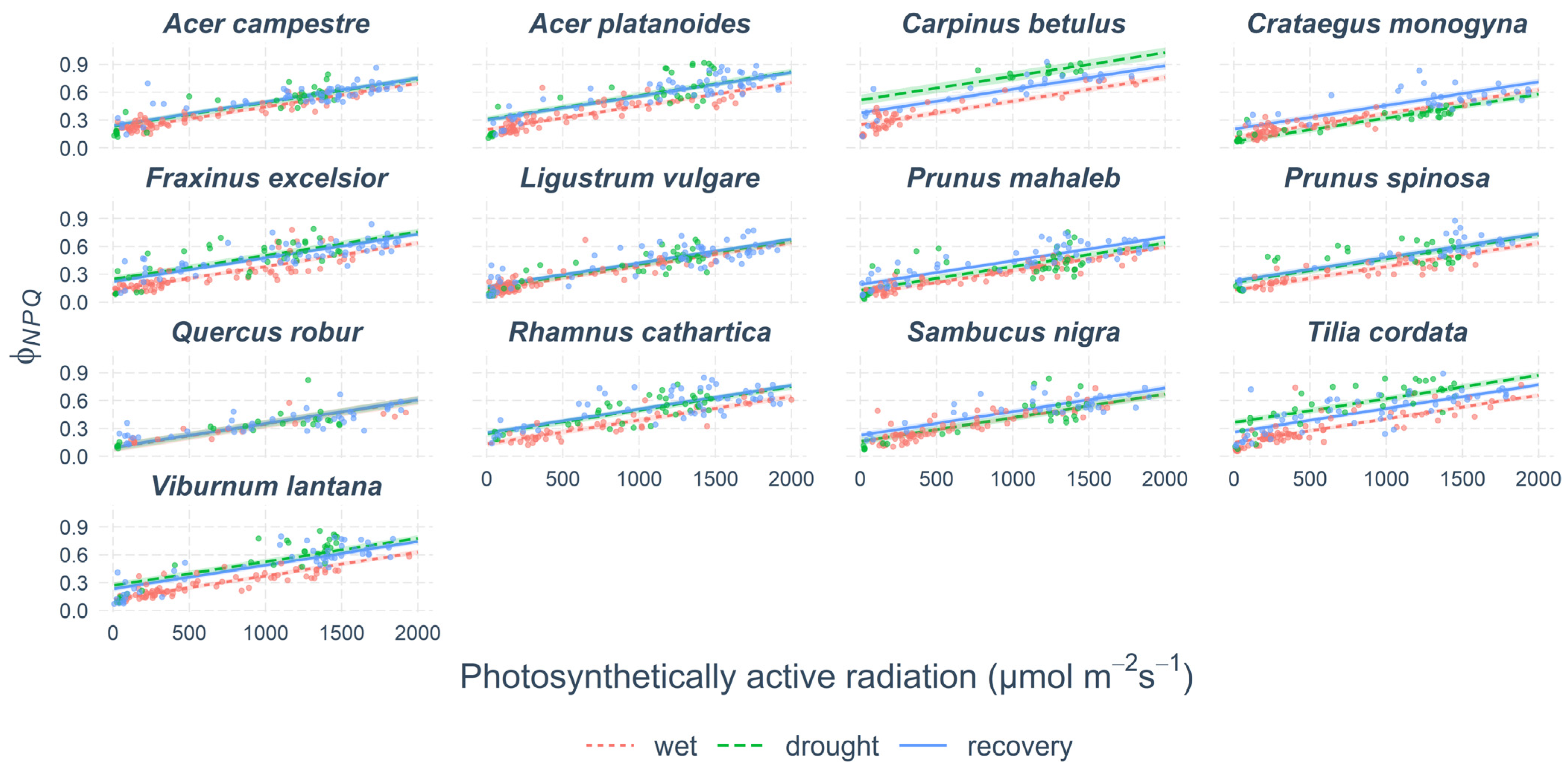 Forests 14 01521 g005