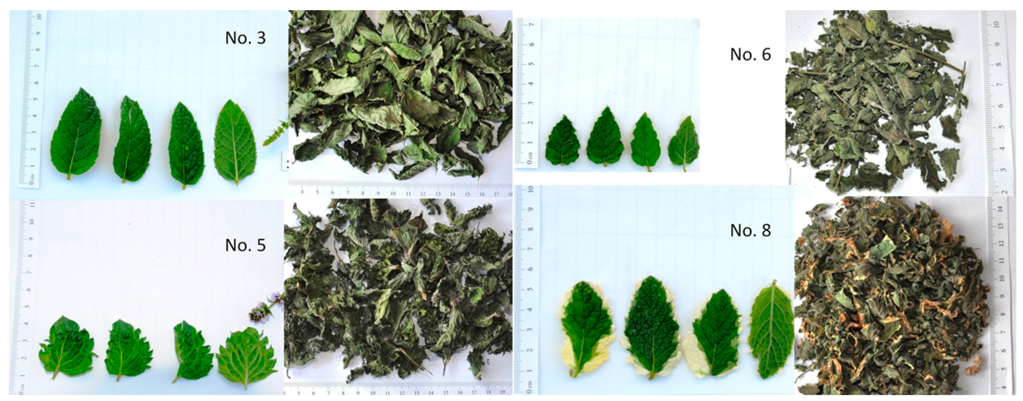 Forests 14 01522 g001