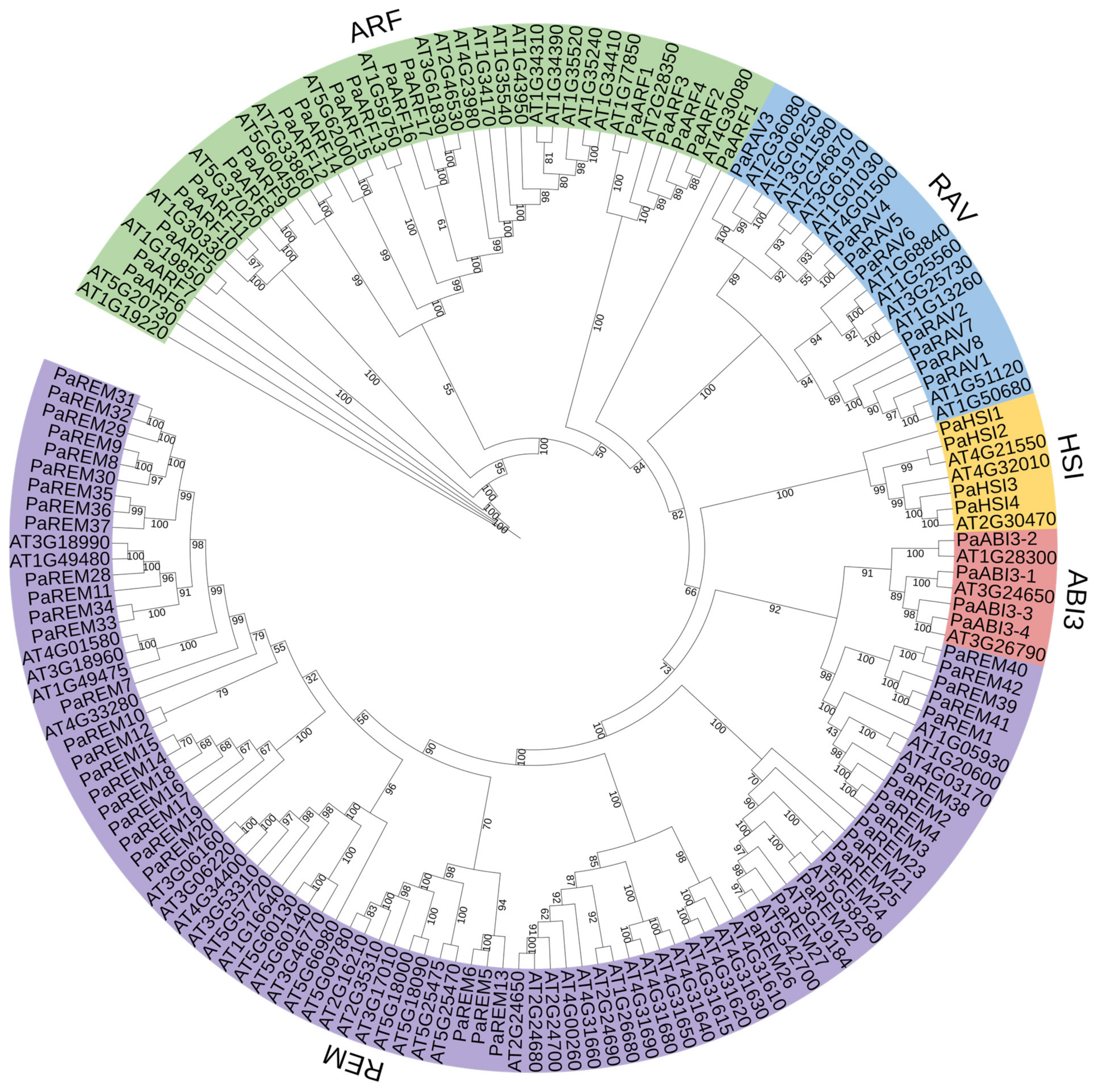 Forests 14 01523 g001 Forests 14 01523 g001