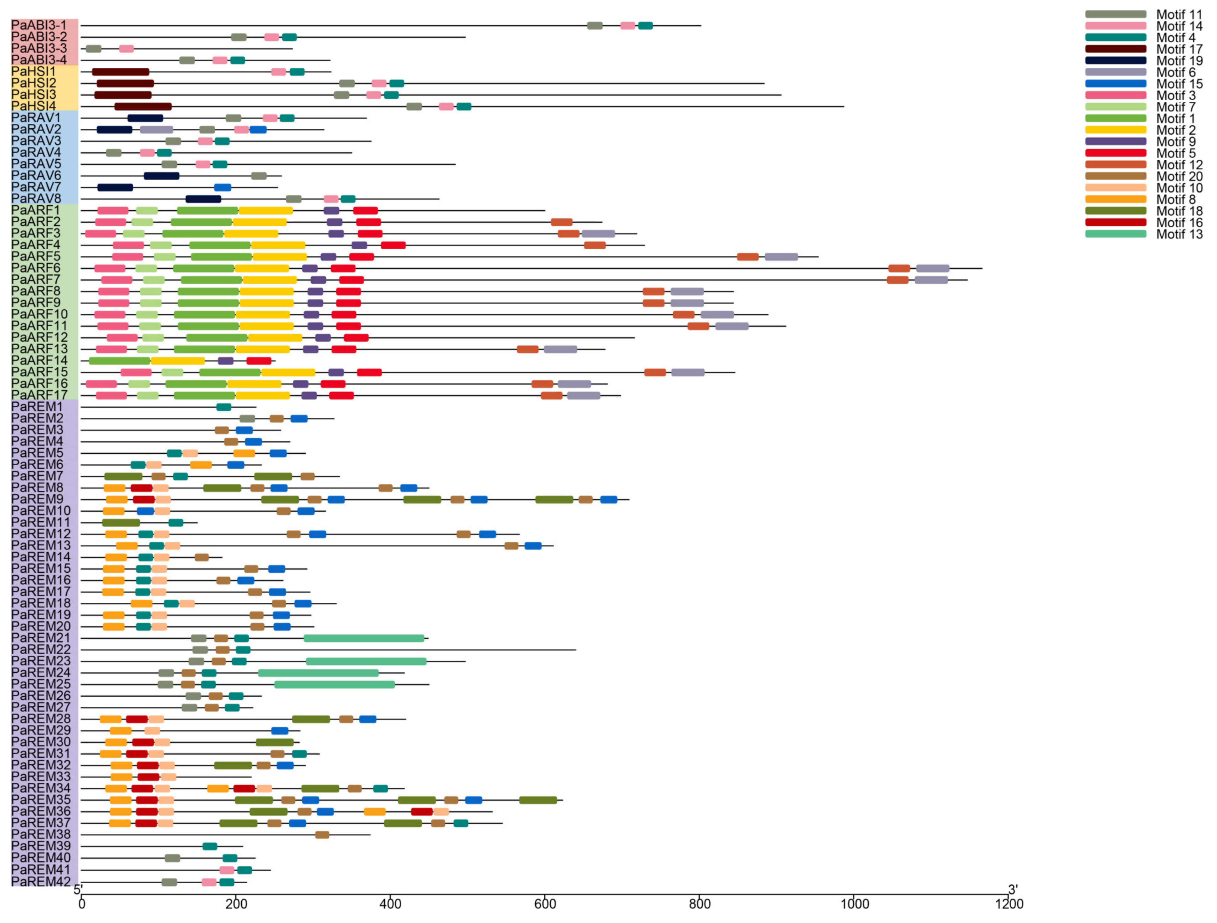 Forests 14 01523 g003 Forests 14 01523 g003