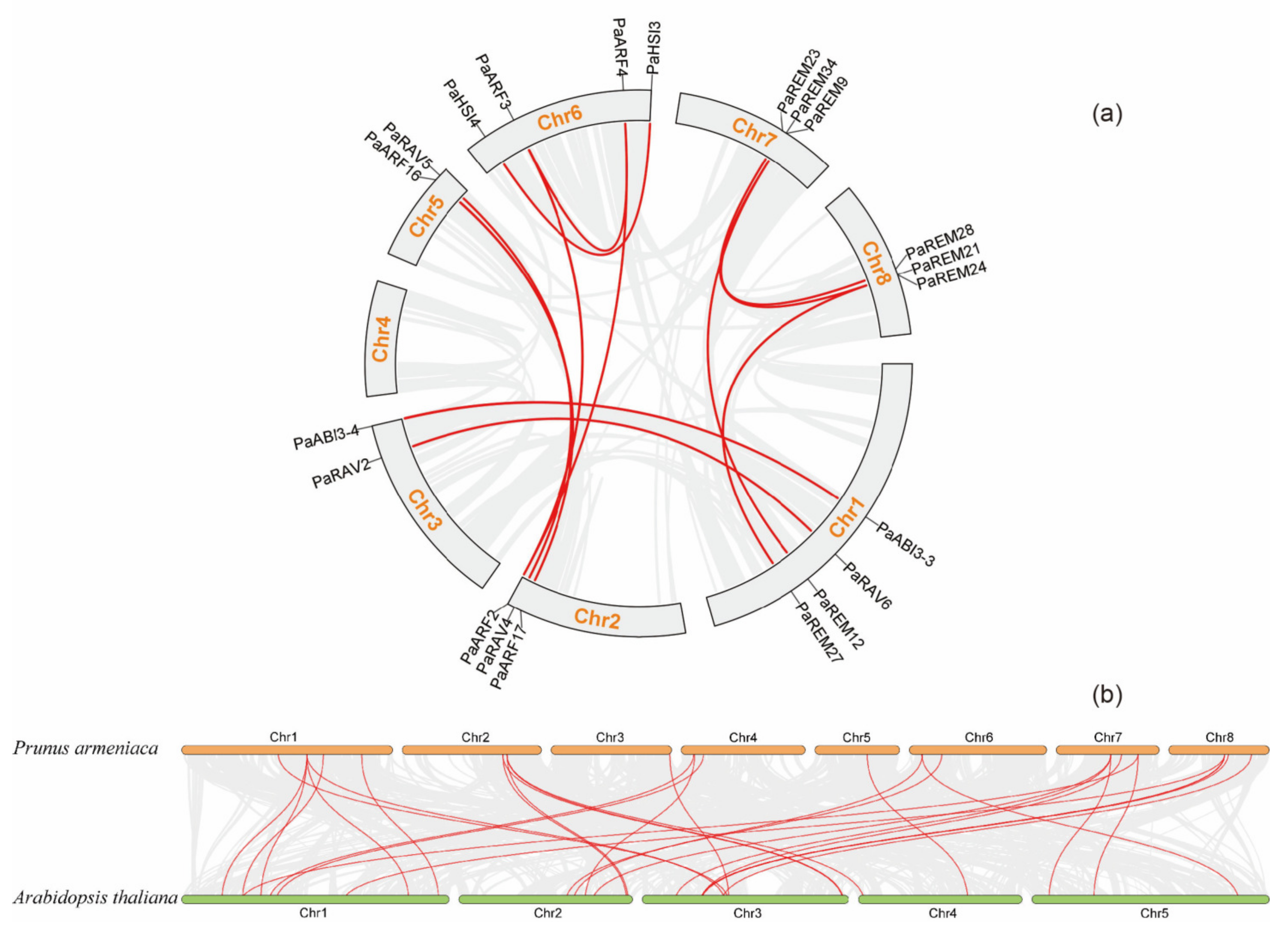 Forests 14 01523 g006 Forests 14 01523 g006