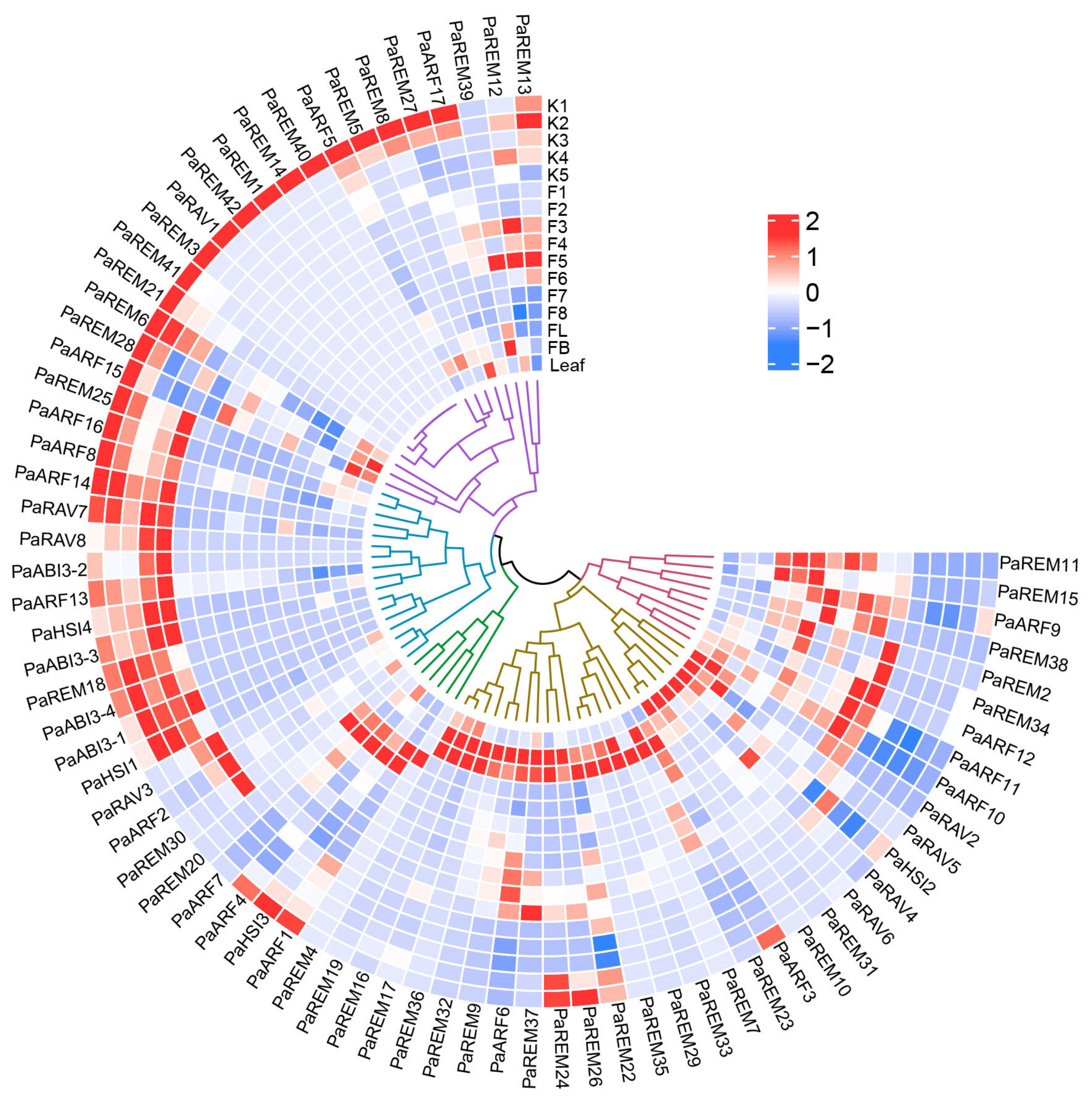 Forests 14 01523 g009 Forests 14 01523 g009